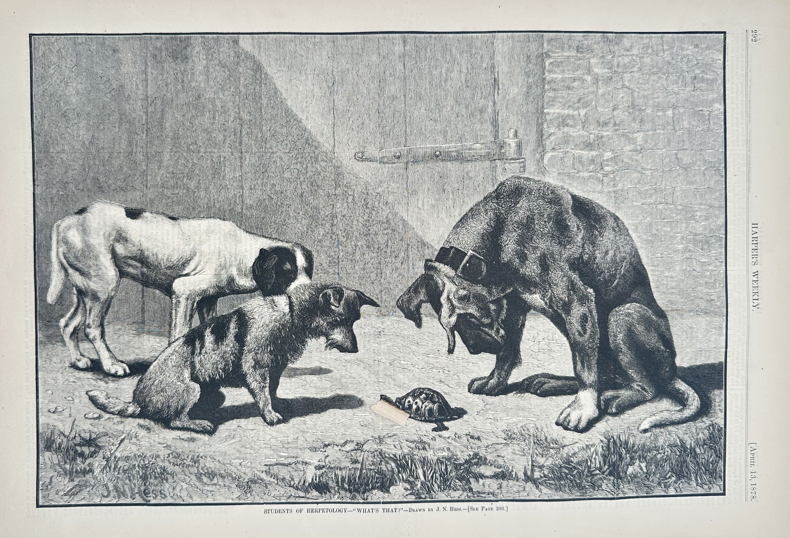 Thomas Nast – Studies of Bruin's Brood – Wood engraving (1875) (1 of 2)