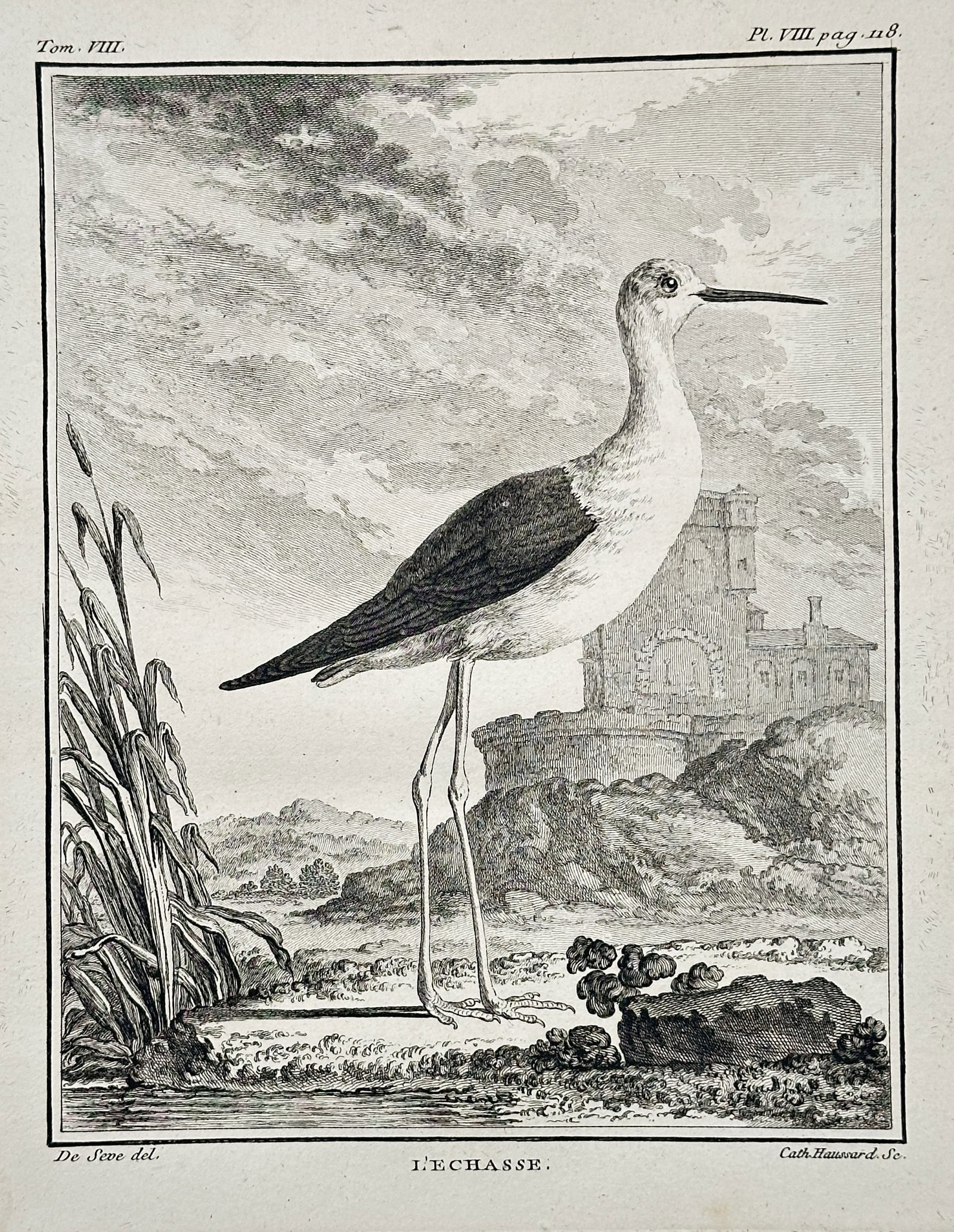 George-Louis Leclerc, Comte de Buffon – The Stilt (L'Échasse) – Engraving (circa 1781) (1 of 2)