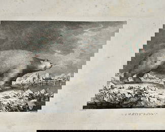 John Webber (1751-1793) – A White Bear – Large Folio Engraving (c. 1784)