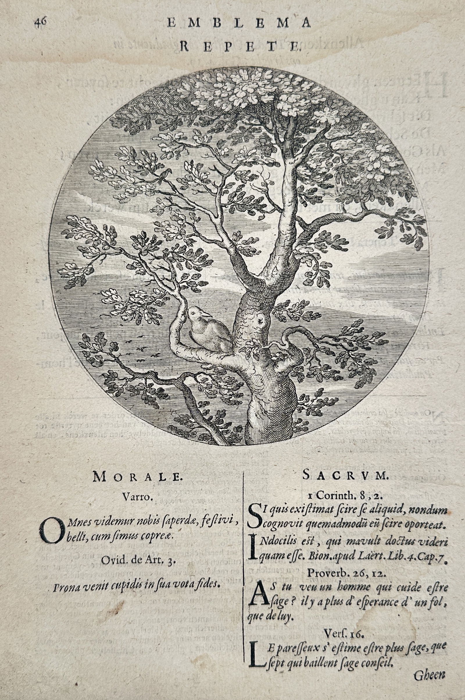 Jacob Cats (1577–1660) – Emblema: Repete. (Repeat.) – Engraving (17th Century) (1 of 2)