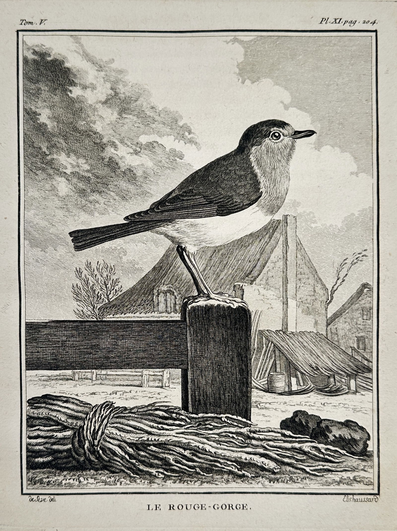 Georges-Louis Leclerc, Comte de Buffon (1707-1788) – The Robin Redbreast – Engraving (c. 1750) (1 of 2)