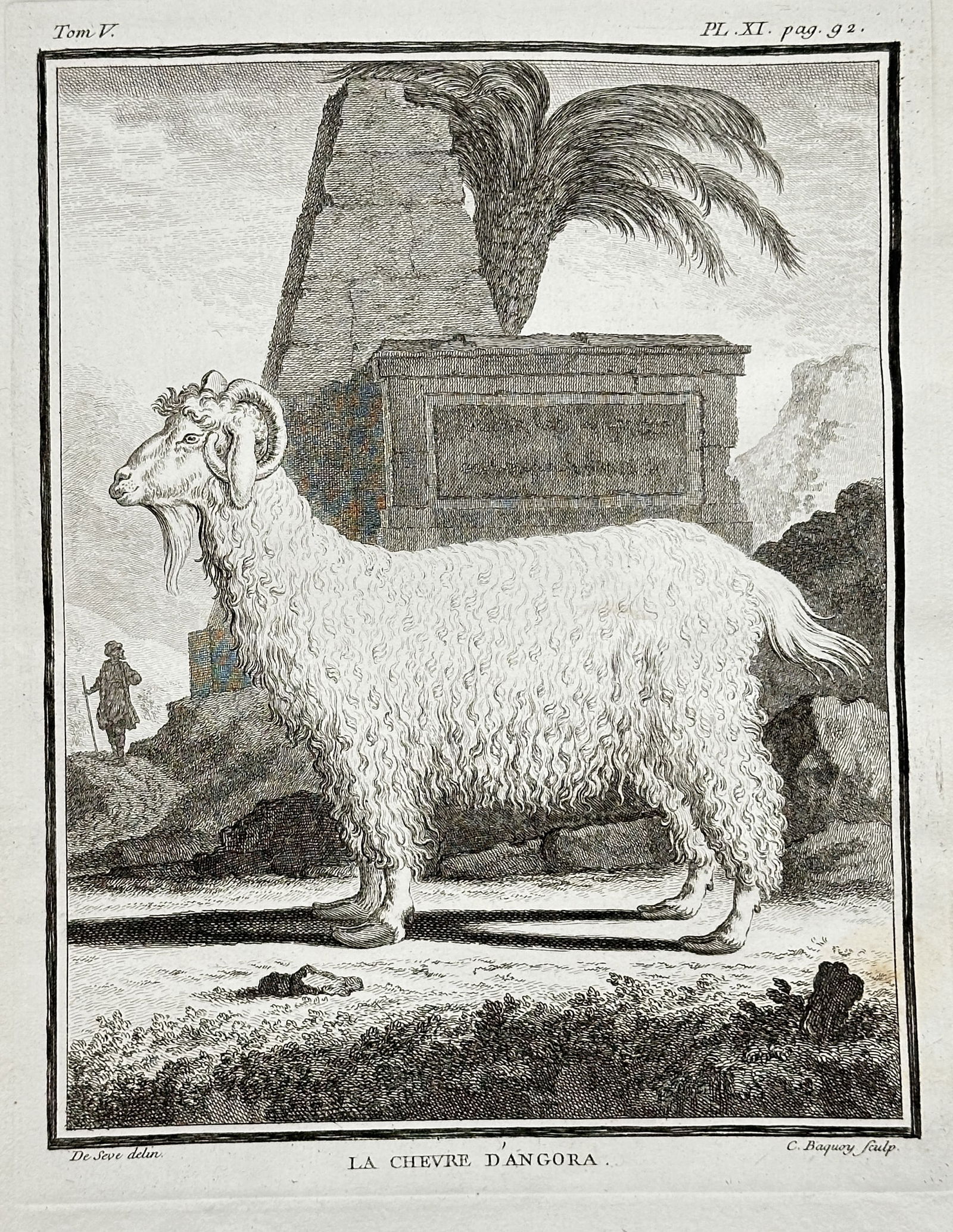 Georges-Louis Leclerc, Comte de Buffon (1707–1788) – The Angora Goat: This engraving depicts the Angora Goat, a breed known for its long, silky hair, set in an imagined exotic landscape featuring a stepped structure and a palm tree, serving as an illustration for a natu