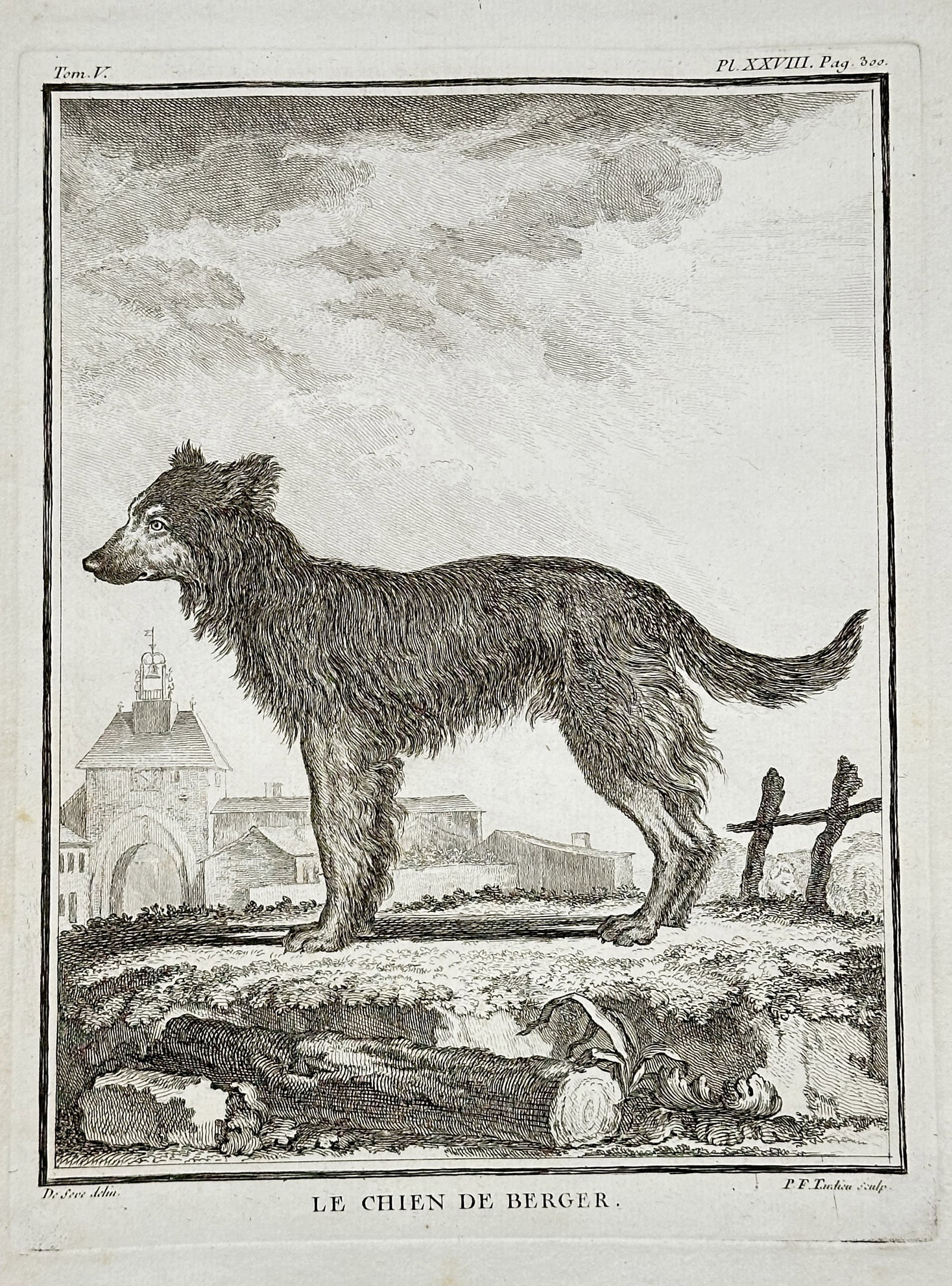 Georges-Louis Leclerc, Comte de Buffon (1707–1788) – The Shepherd's Dog: This engraving depicts a Shepherd's Dog (Chien de Berger), a breed characterized by its shaggy coat and alert posture, standing in profile on a rocky mound. The background features a detailed cityscap