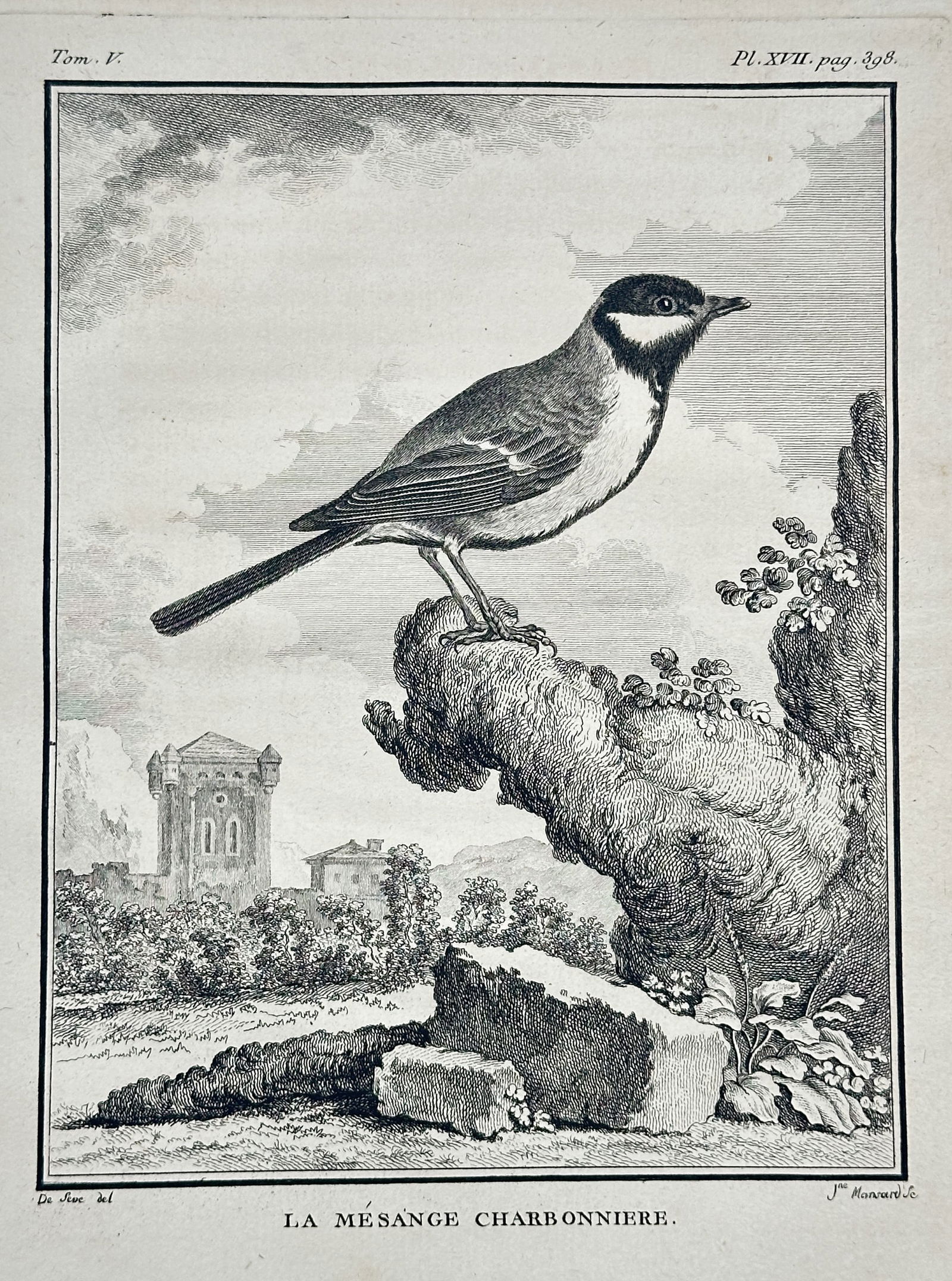 Georges-Louis Leclerc, Comte de Buffon – La Mésange Charbonnière (Great Tit) – Engraving: This engraving, a plate from Buffon's monumental natural history work, depicts La Mésange Charbonnière, or the Great Tit, perched on a branch with a detailed landscape including a tower in the backg