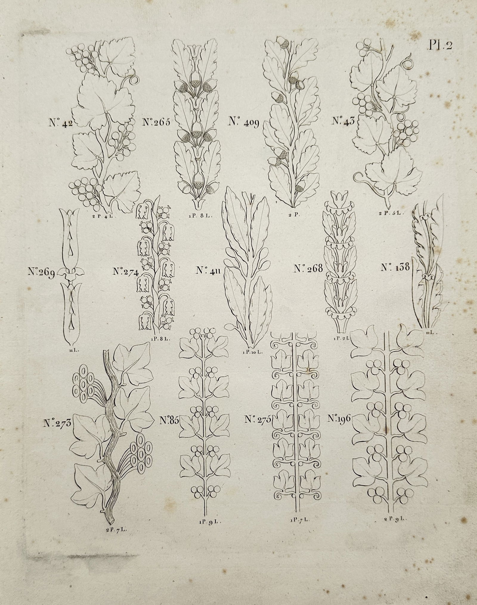 Charles-Pierre-Joseph Normand – Botanical Ornament Designs, Plate 2 – Copper engraving (c. 1819) (1 of 2)