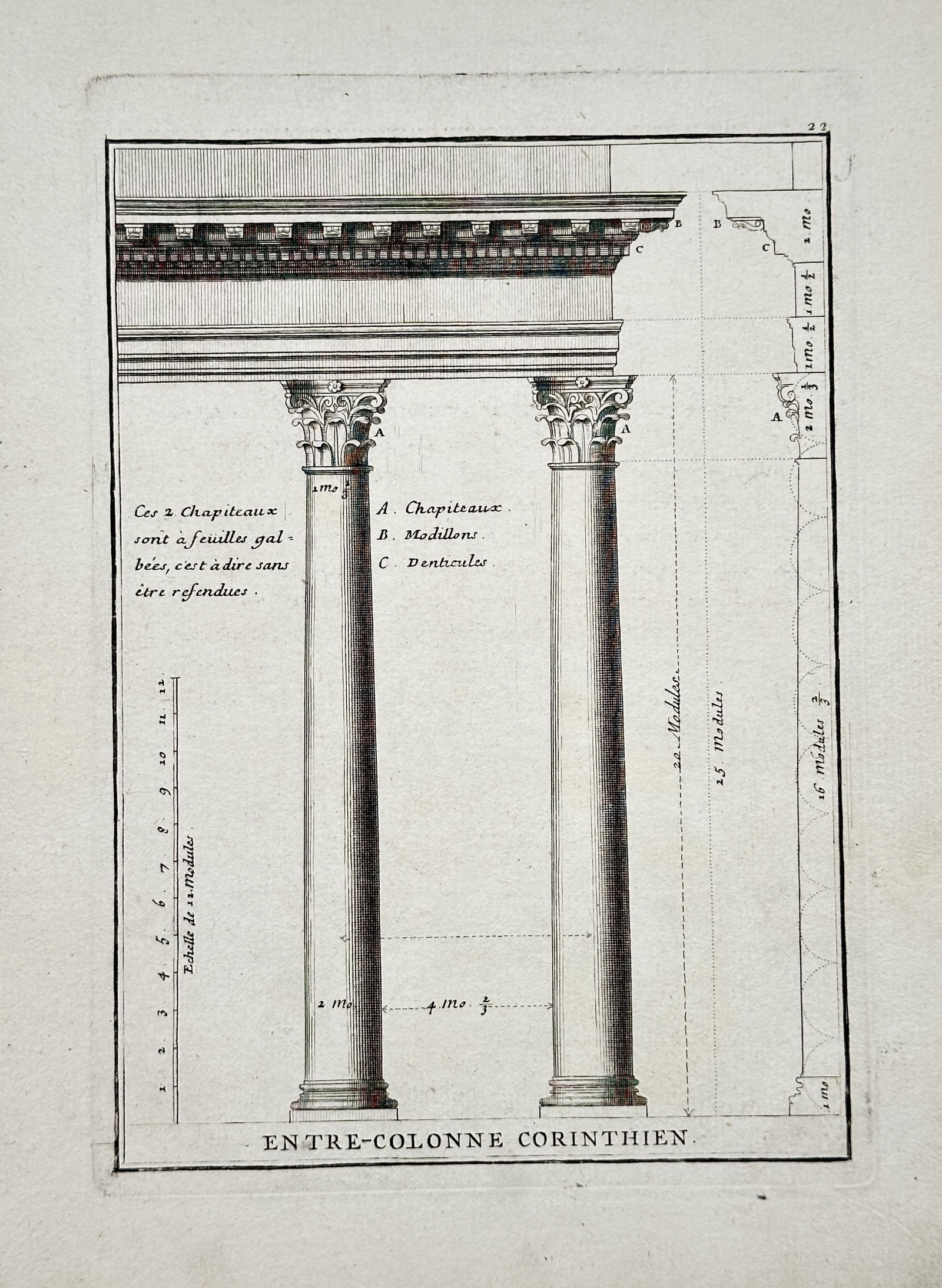 Giacomo Barozzi da Vignol, after – Corinthian Intercolumniation – Engraving (c. 1747): This engraving presents a detailed technical study of the Corinthian order, focusing specifically on the measurement and design of the space between two columns (intercolumniation), crowned by a highl