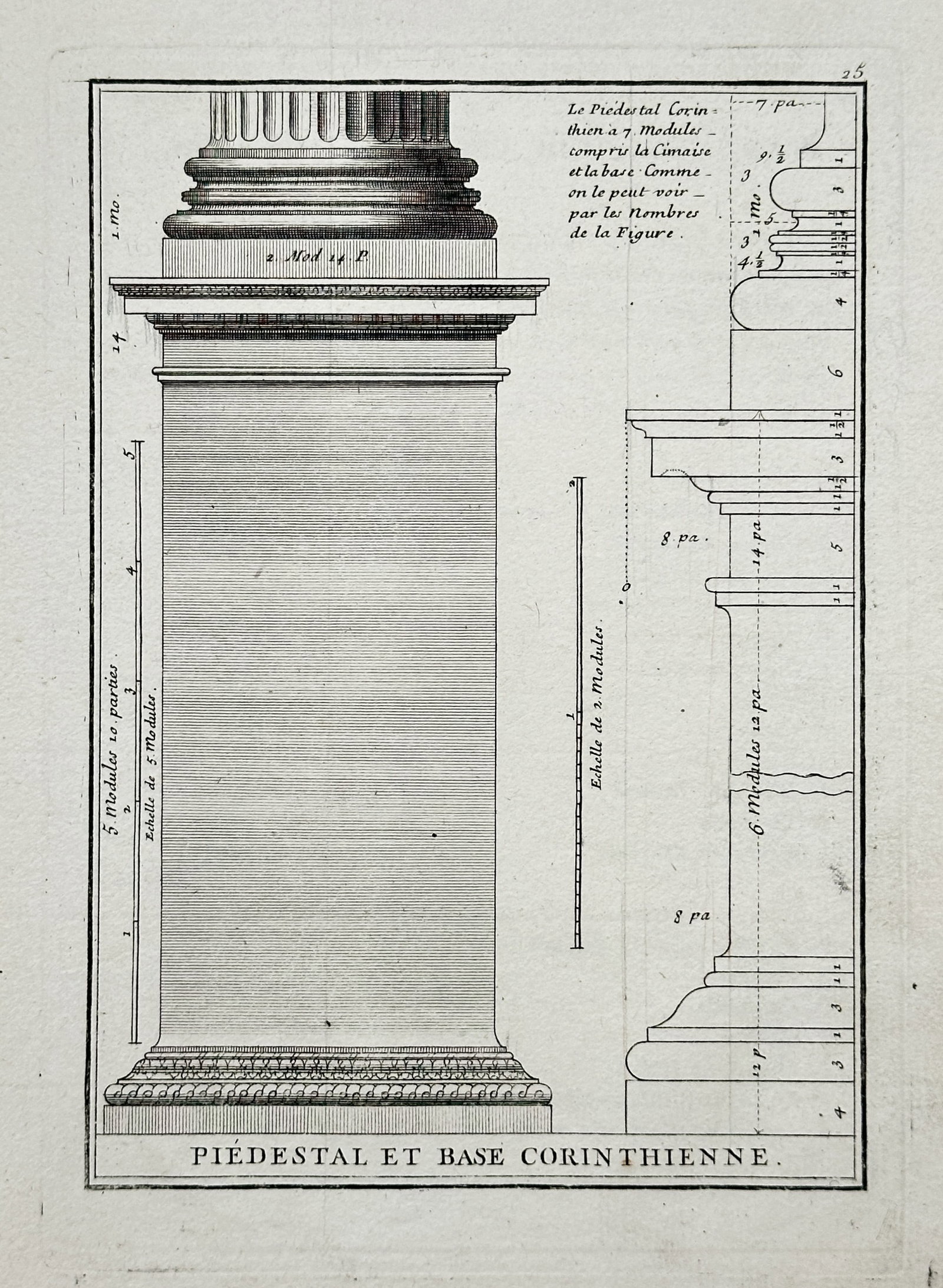 Giacomo Barozzi da Vignol, after – Corinthian Pedestal and Base – Engraving (c. 1747): This engraving provides a detailed, technical diagram of the Corinthian order, focusing on the proportional measurements and construction of the pedestal and the column base. It includes various cross
