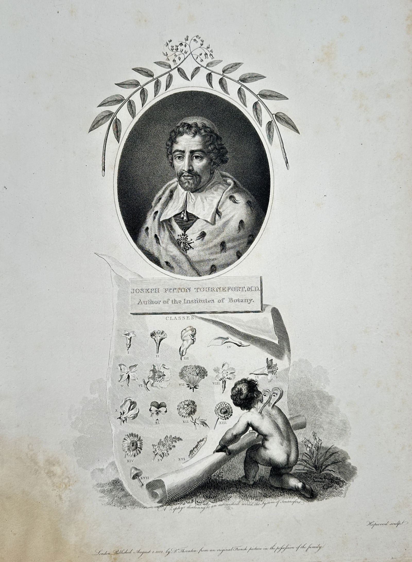 Robert Thornton – Portrait of Joseph Pitton de Tournefort and Botanical Allegory – Engraving (1 of 2)