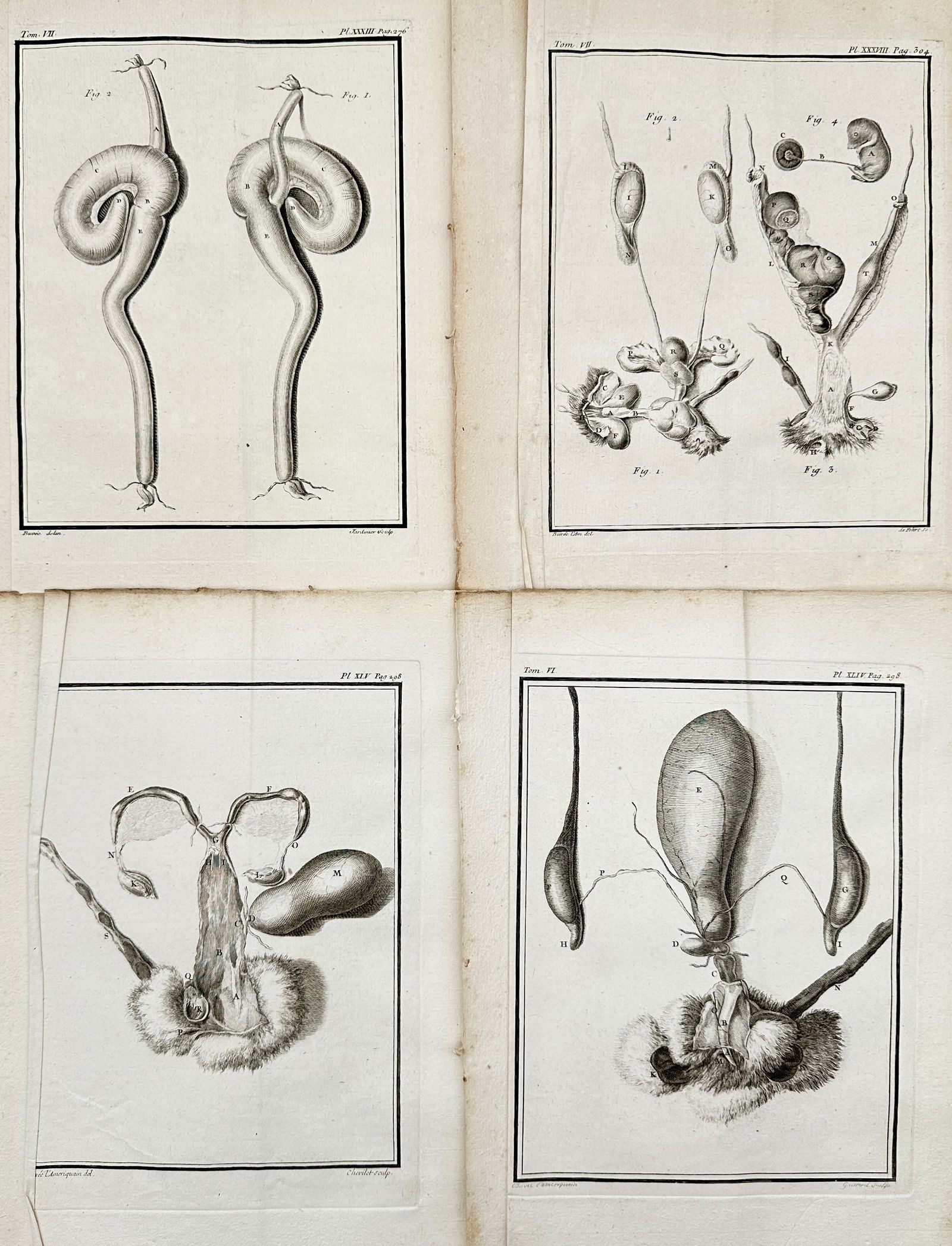 Georges-Louis Leclerc, Comte de Buffon – Set of 4: Anatomical Dissections from Histoire Naturelle: This set of four copper engravings depicts detailed anatomical dissections of animal internal organs, reflecting the rigorous scientific inquiry of the Enlightenment. These plates were published in th