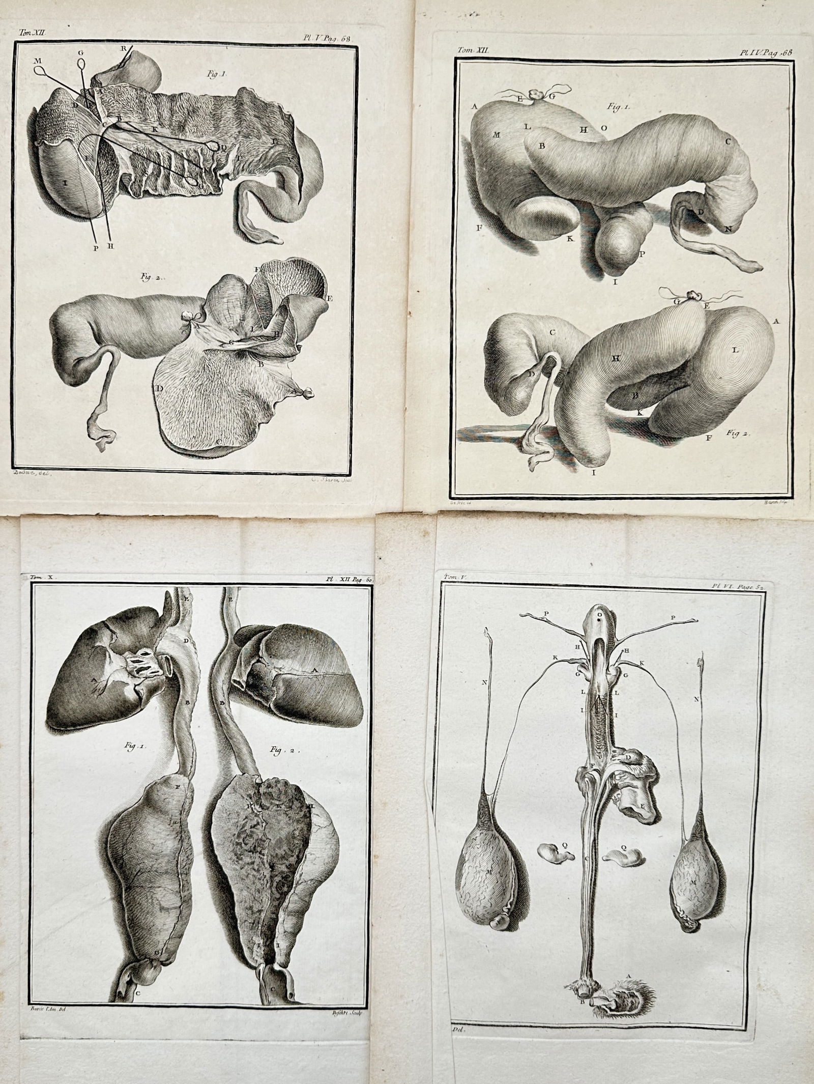 Georges-Louis Leclerc, Comte de Buffon – Set of 4: Anatomical Dissections of Animal Organs: This set of four copper engravings continues the detailed anatomical dissections of animal internal organs, focusing on complex glands and related structures, reflecting the rigorous scientific inquir