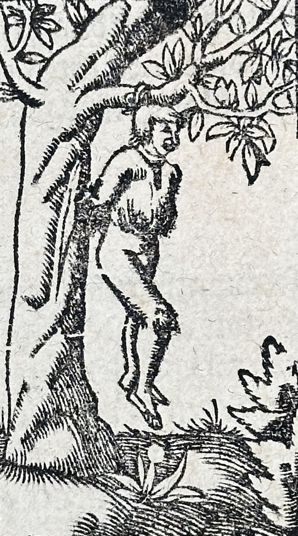 Sebastian Münster – Printed Page with an Illustration of a Mythical Creature – Woodcut (1 of 3)