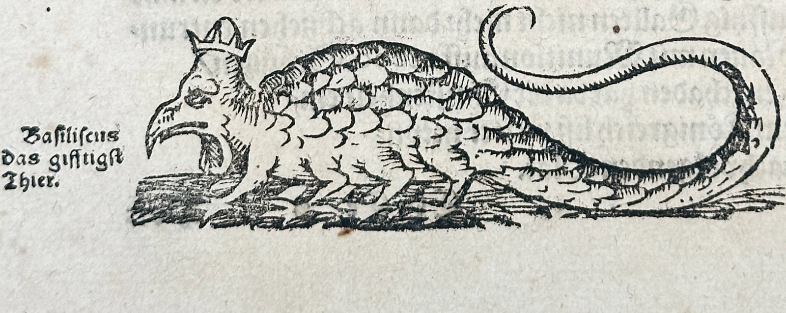 Sebastian Münster – Printed Page with Woodcut Illustration of an Exotic Dragon – Woodcut: This item is a printed text page in German Blackletter from Sebastian Münster's seminal world geography, Cosmographia. The text details the lands of Africa, specifically the kingdoms of Morocco and L