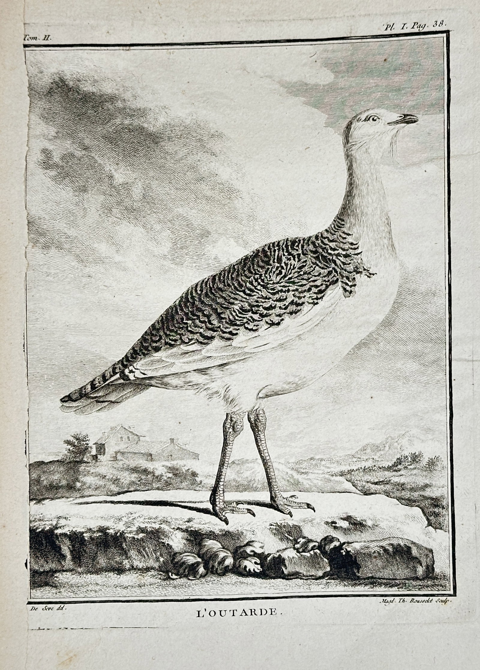 Georges-Louis Leclerc, Comte de Buffon – The Bustard (L'Outarde) – Copperplate engraving: This copperplate engraving depicts L'Outarde (The Bustard), a large, terrestrial game bird shown standing in profile on rocky terrain beneath a cloudy sky. This illustration is a plate from the ornith