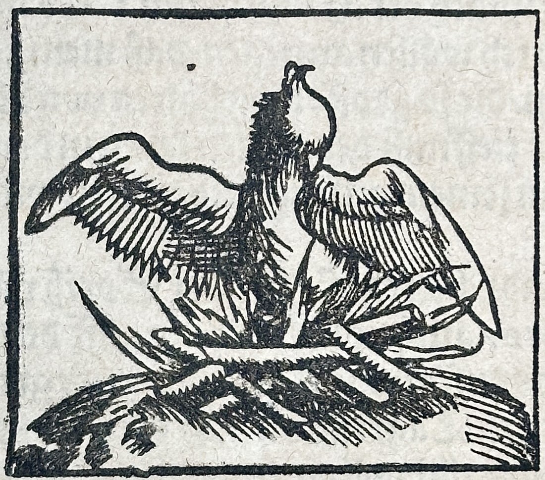 Sebastian Münster – Das Fünfte Buch (Cosmographical Text) – Woodcut (16th Century) (1 of 3)