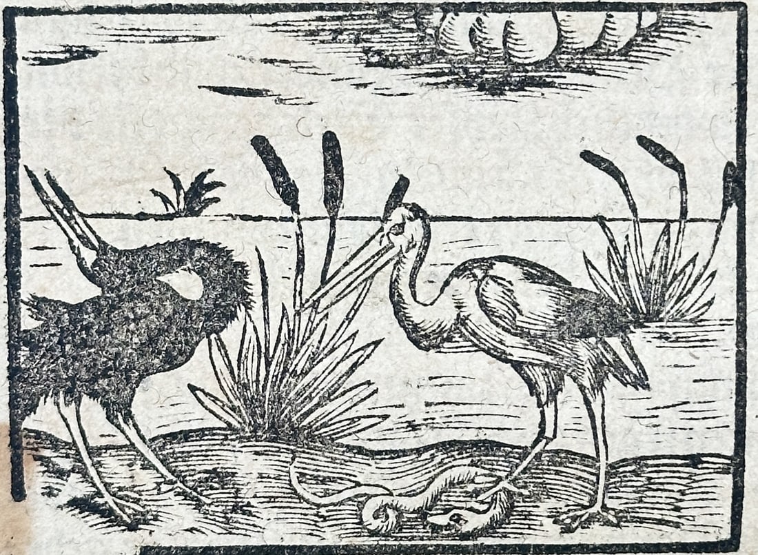 Sebastian Münster – The Bishopric of Basel (Cosmographia Leaf) – Woodcut (16th Century) (1 of 3)