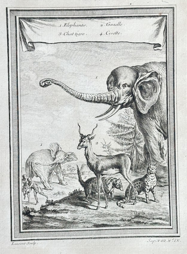 Antoine-François Prévost (1697–1763) – African Mammals, Including Elephant, Gaze: This detailed zoological illustration displays a composite scene of various African mammals encountered by travelers, including the African Elephant, a Gazelle, and smaller carnivores like a Civet and