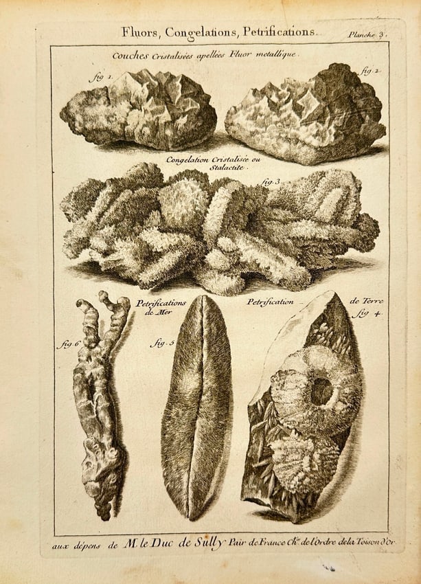 Pierre-Quentin Chedel (1705–1763) after François Boucher – Fluors - Engraving: This original copperplate engraving comes from the first edition of L’Histoire naturelle éclaircie dans deux de ses parties principales, la lithologie et la conchyliologie, published in Paris in 17