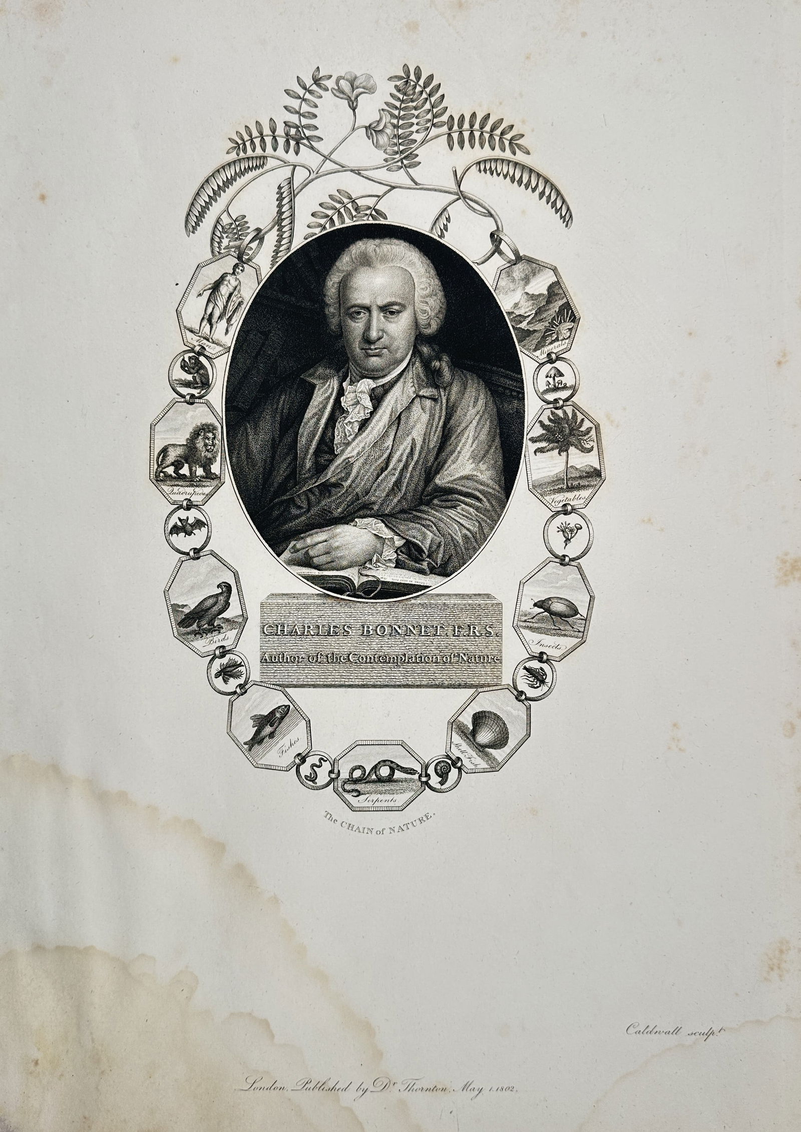 Robert John Thornton (1768–1837) – Portrait of Charles Bonnet F.R.S. – Engraving (1802): This engraving presents a portrait of the Swiss naturalist and philosopher Charles Bonnet, enclosed within an oval frame. The frame is linked to a series of hexagonal vignettes illustrating the chain