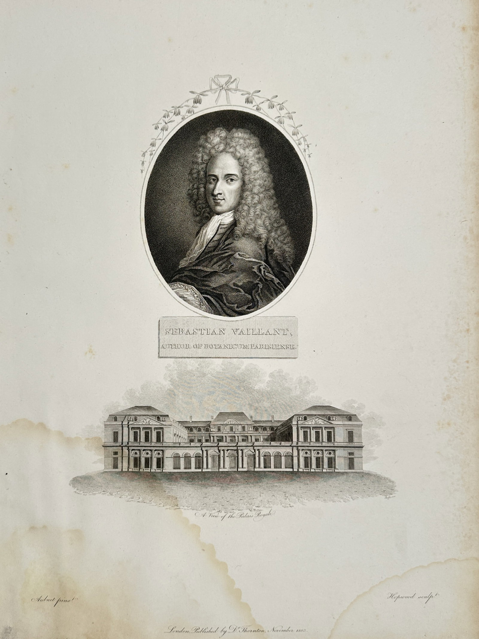 Robert John Thornton (1768–1837) – Portrait of Sebastian Vaillant – engraving (1801): This illustration features a portrait of Sebastian Vaillant, a prominent French botanist, set within an oval frame topped with a decorative bow and floral garland. Below the portrait, a detailed archi