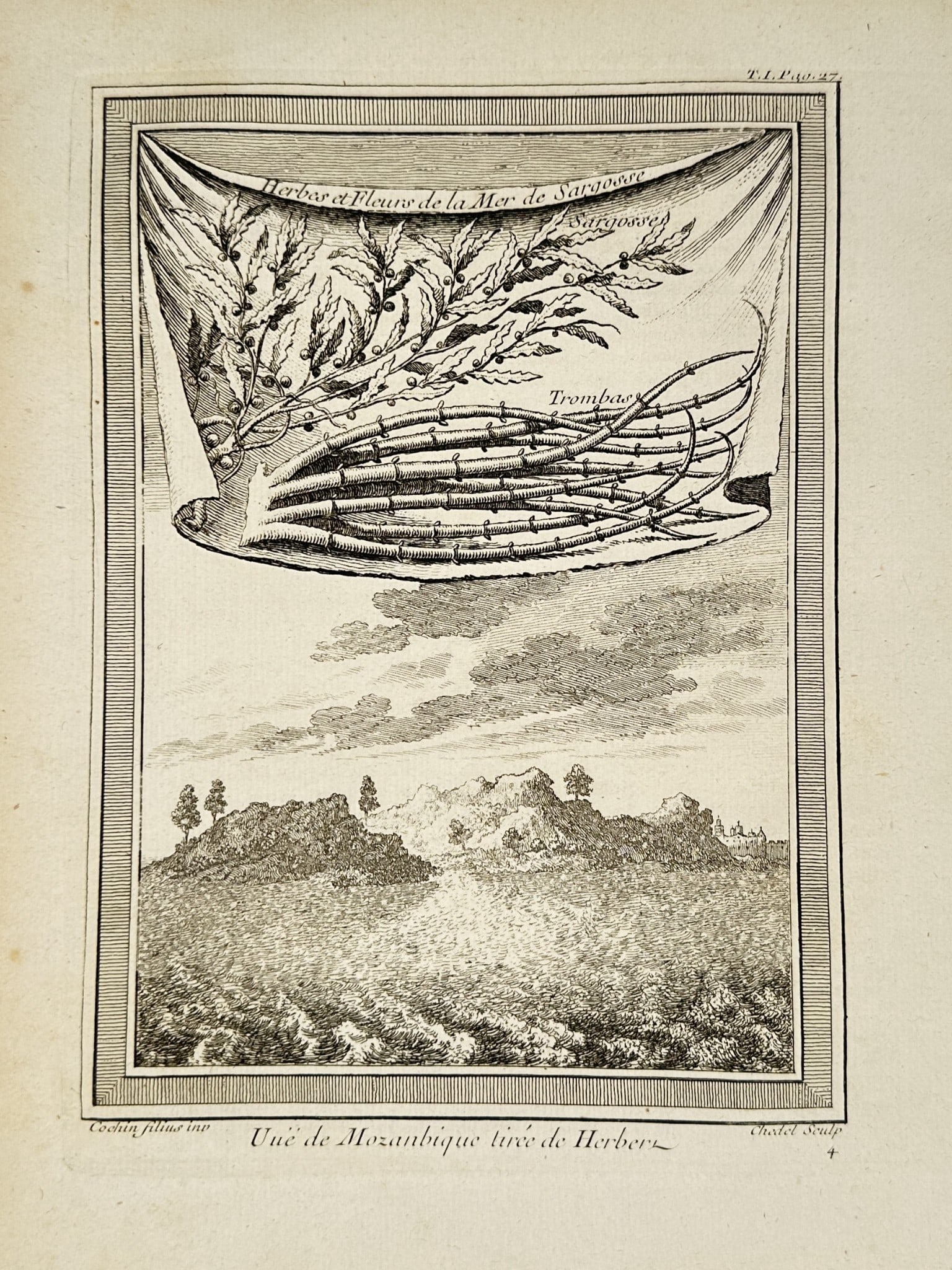 Pierre Quentin Chedel (1705–1762) - Allegorical View of Mozambique Flora (1 of 2)