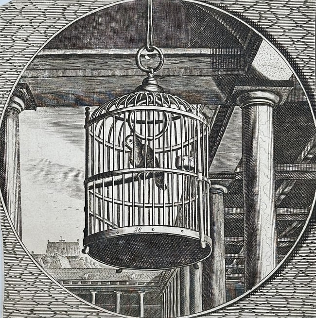 Jacob Cats (1577–1660) – Bird in a Cage (from an Emblem Book) – Engraving: This engraving depicts a bird confined within a circular cage hanging from the ceiling of a classical structure. The cage is centered within a circular frame, which is set against a square background 