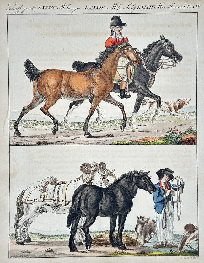Friedrich Johann Justin Bertuch (1747–1822) – Domestic Horses and Their Applications: This hand-colored engraving is divided into two parts, illustrating various uses of horses. The upper scene shows a rider on a fine brown horse, leading another, possibly depicting a hunting expeditio