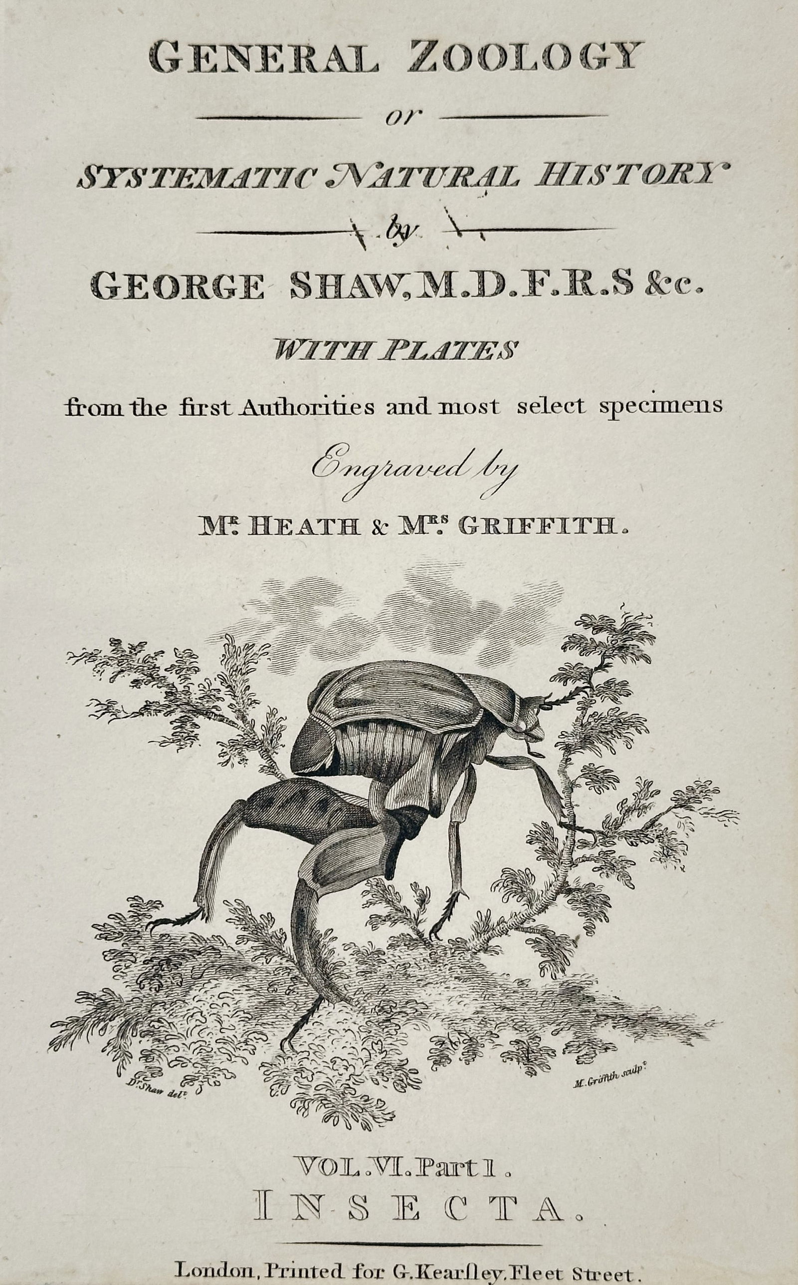 George Shaw (1751–1813) – General Zoology or Systematic Natural History – Illustration (1806): This illustration serves as the title page for the sixth volume of the series General Zoology, specifically focusing on the study of insects. The page features a central engraving of a beetle-like ins