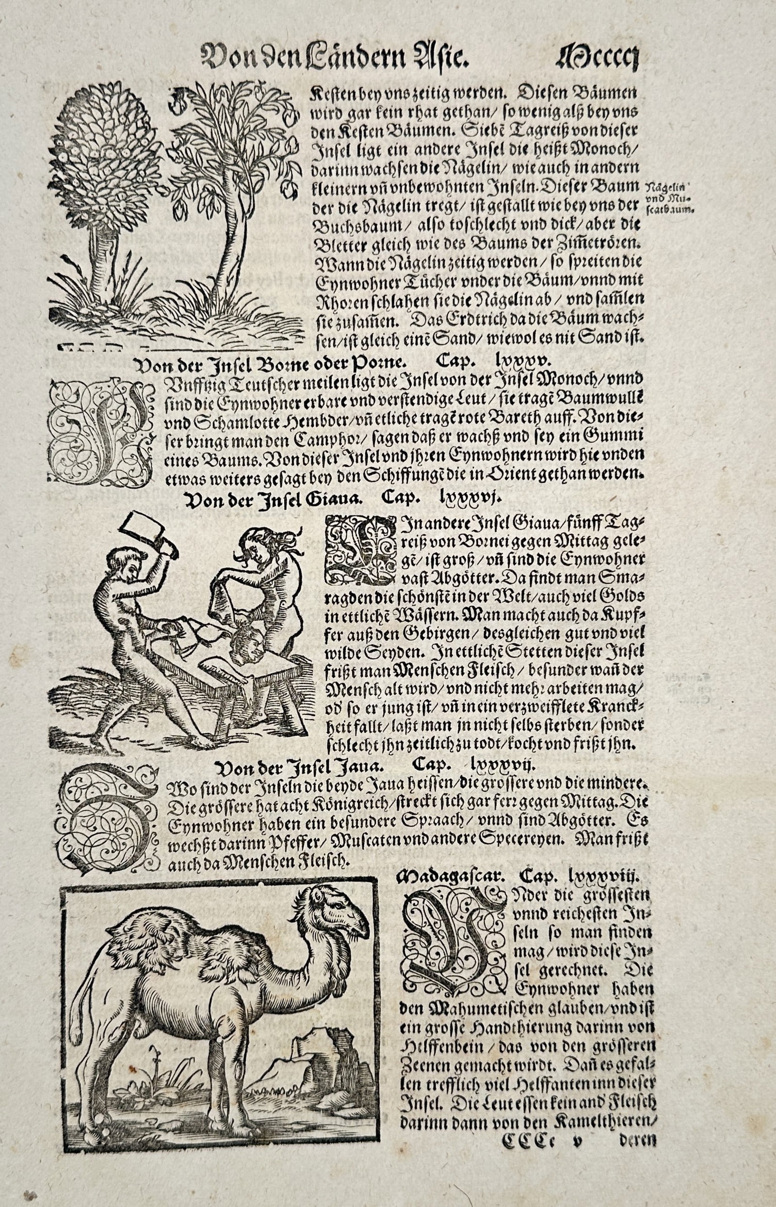 Sebastian Munster (1488–1552) – The Lands of Asia and Madagascar – woodcut (1550) (1 of 2)