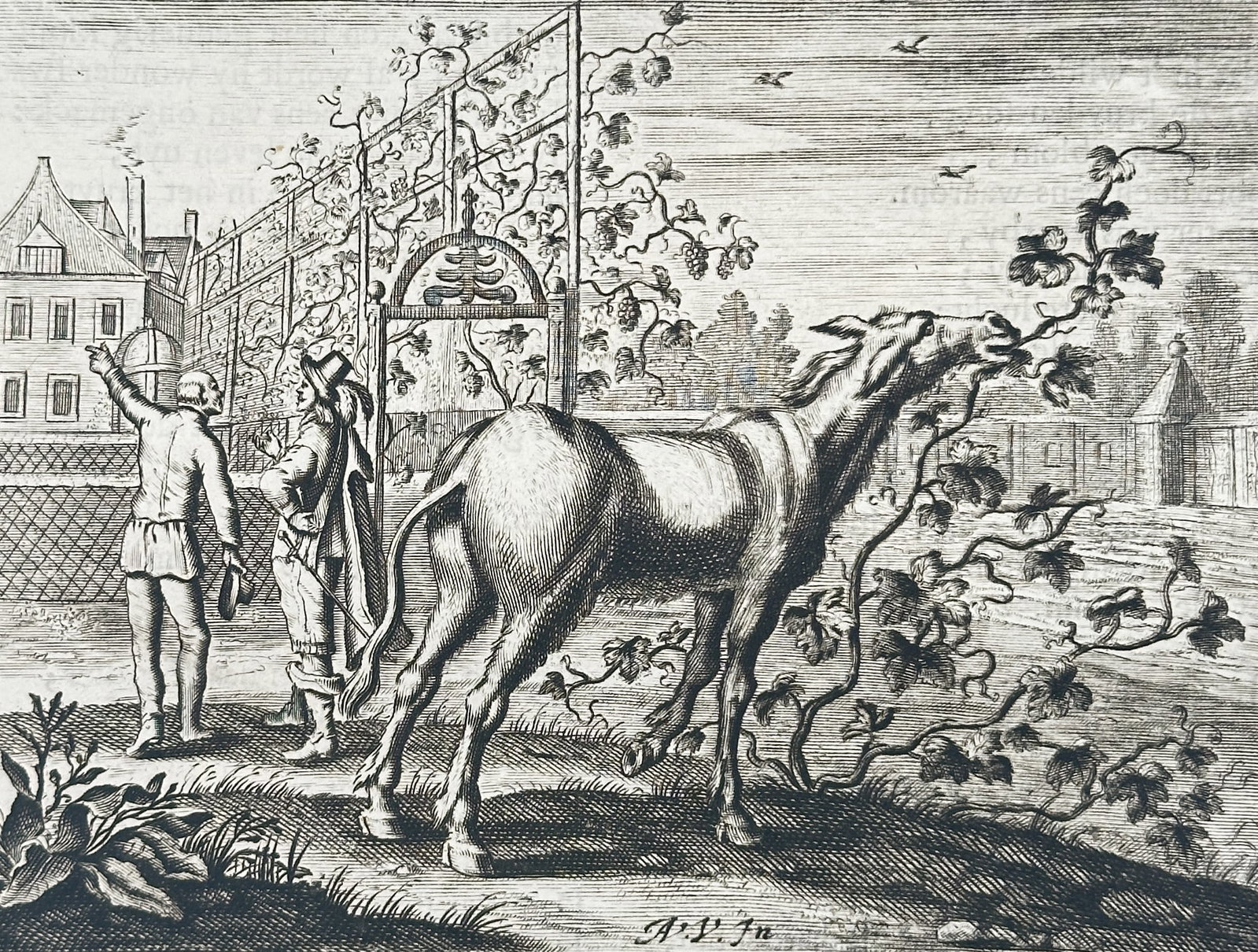 Jacob Cats (1577–1660) – Allegorical Scene with Donkey – Print (1655): This illustration depicts a moralizing allegorical scene featuring a donkey standing in a vineyard, with figures visible in the background near a well and architectural structures. The image serves as