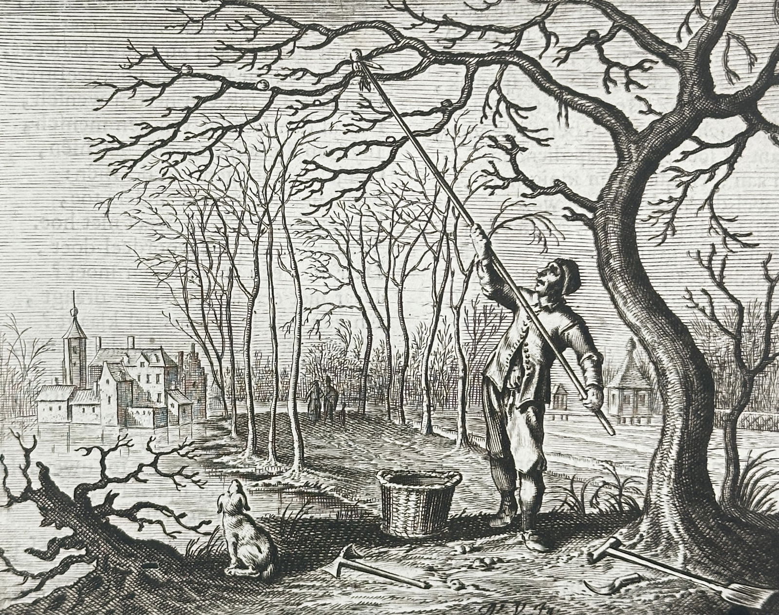 Jacob Cats (1577–1660) – Clearing Caterpillars from the Trees – Print (1655) (1 of 3)