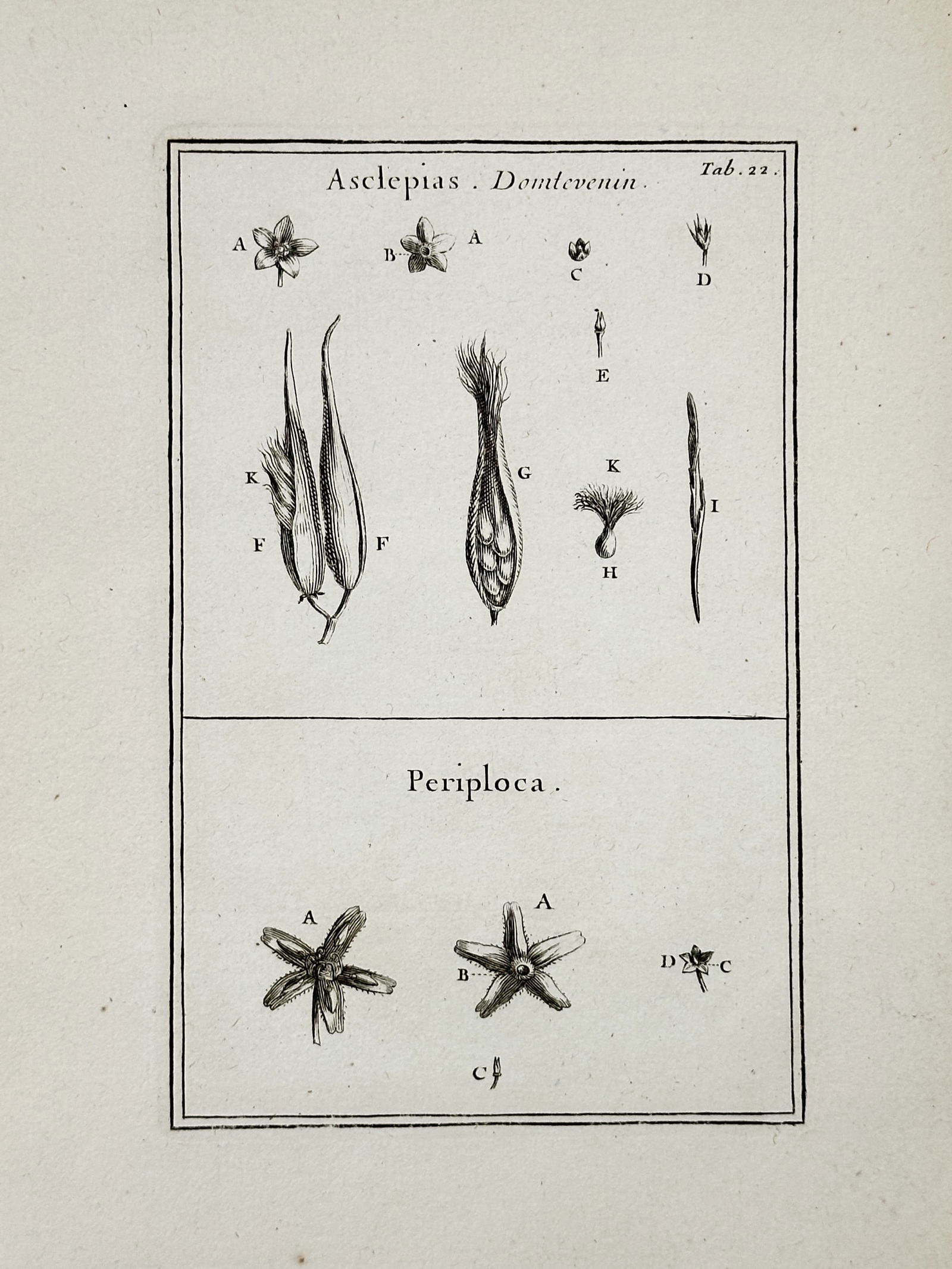 Joseph Pitton de Tournefort (1656–1708) – Silkweed and Silk Vine – engraving (1719): This botanical print features several detailed studies of the floral and seed-bearing components of Silkweed and Silk Vine, identified by the Latin titles Asclepias and Periploca. The plate illustrate