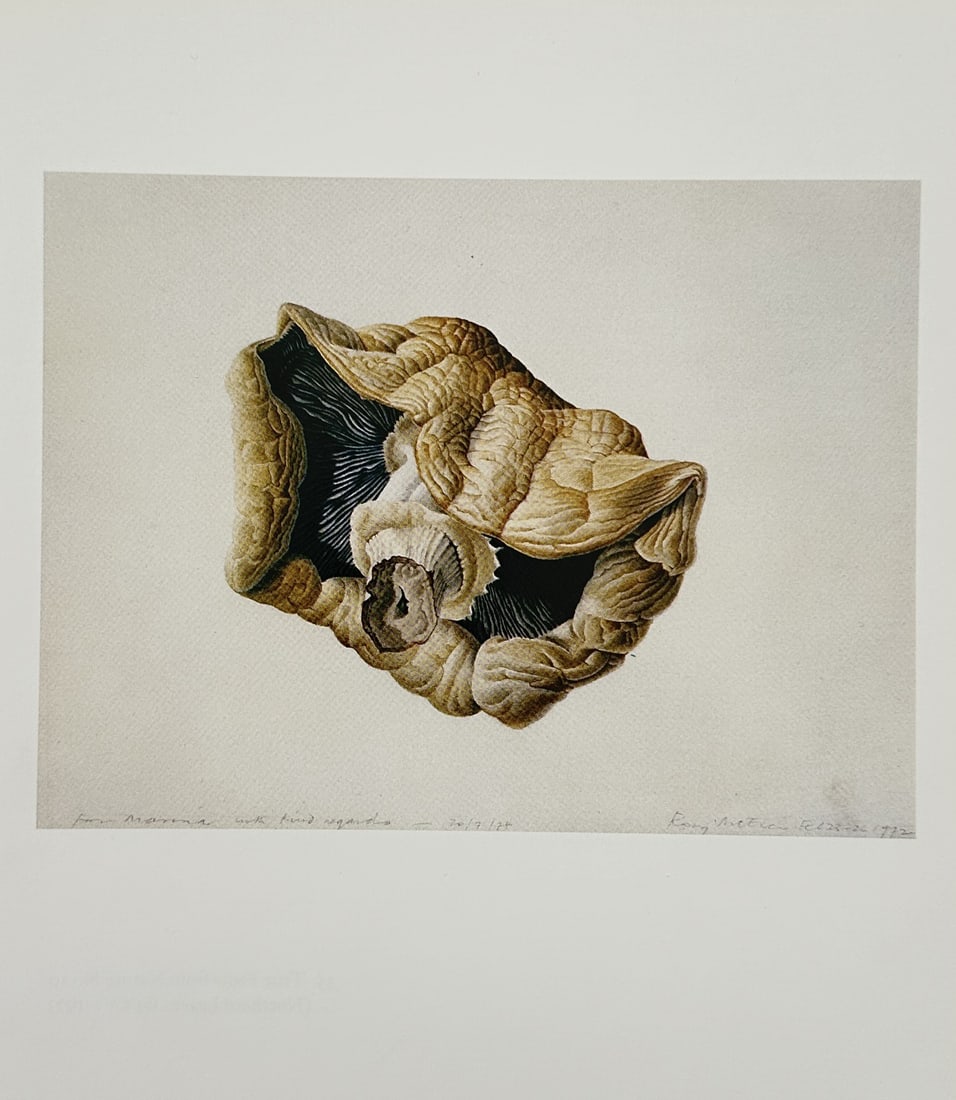 Rory McEwen (1932–1982), after – Mushroom – Offset print (20th Century) (1 of 2)