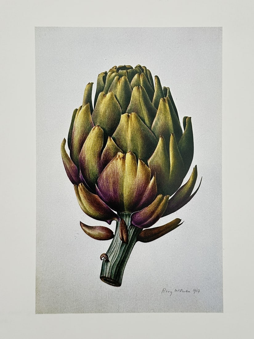 Rory McEwen (1932–1982), after – Artichoke – Offset print (20th Century) (1 of 2)