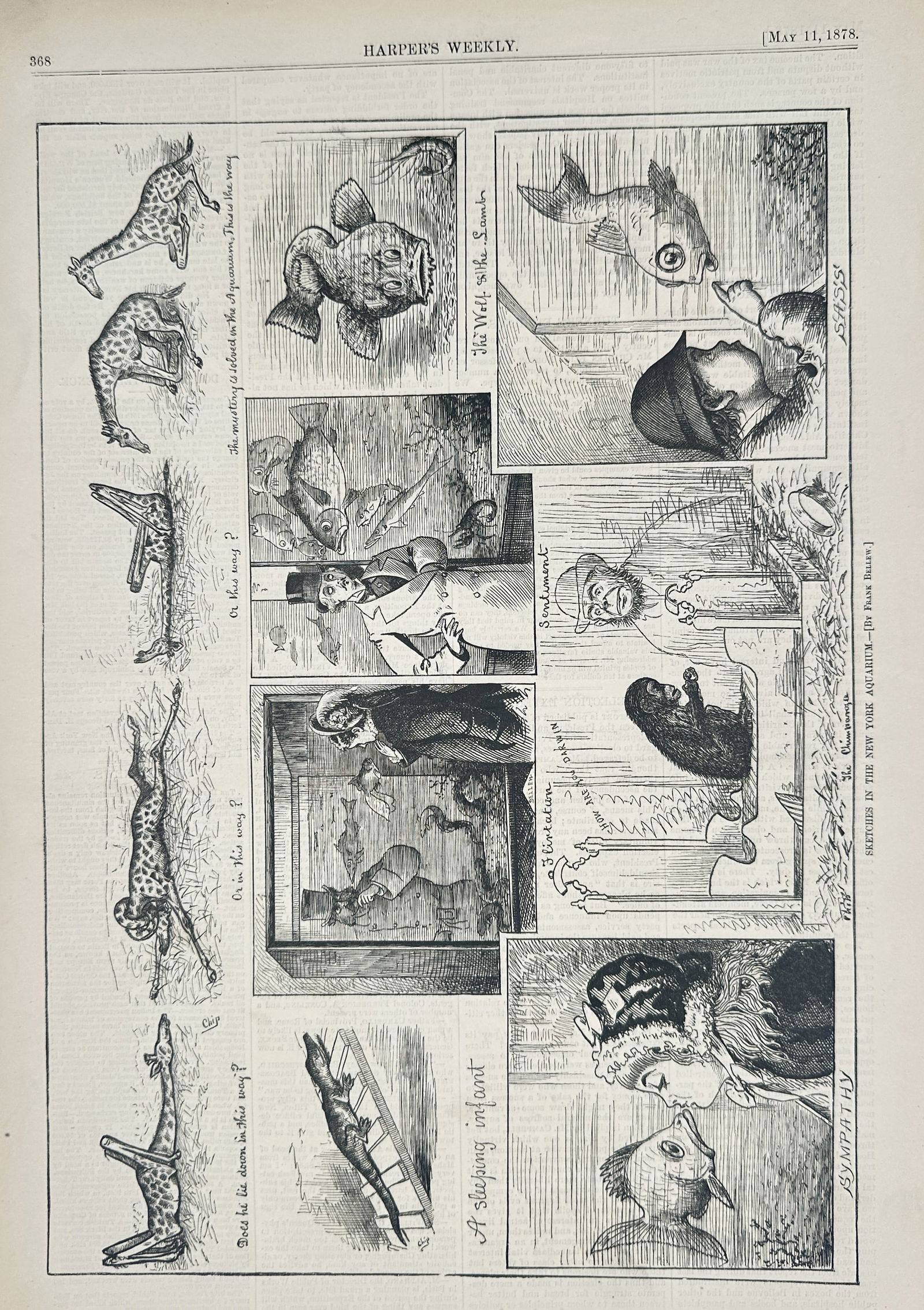 Harper's Weekly – Sketches in the New York Aquarium – Wood Engraving (1878): This print features a humorous collection of character sketches and caricatures titled Sketches in the New York Aquarium, illustrating the curious interactions between Victorian-era visitors and marin