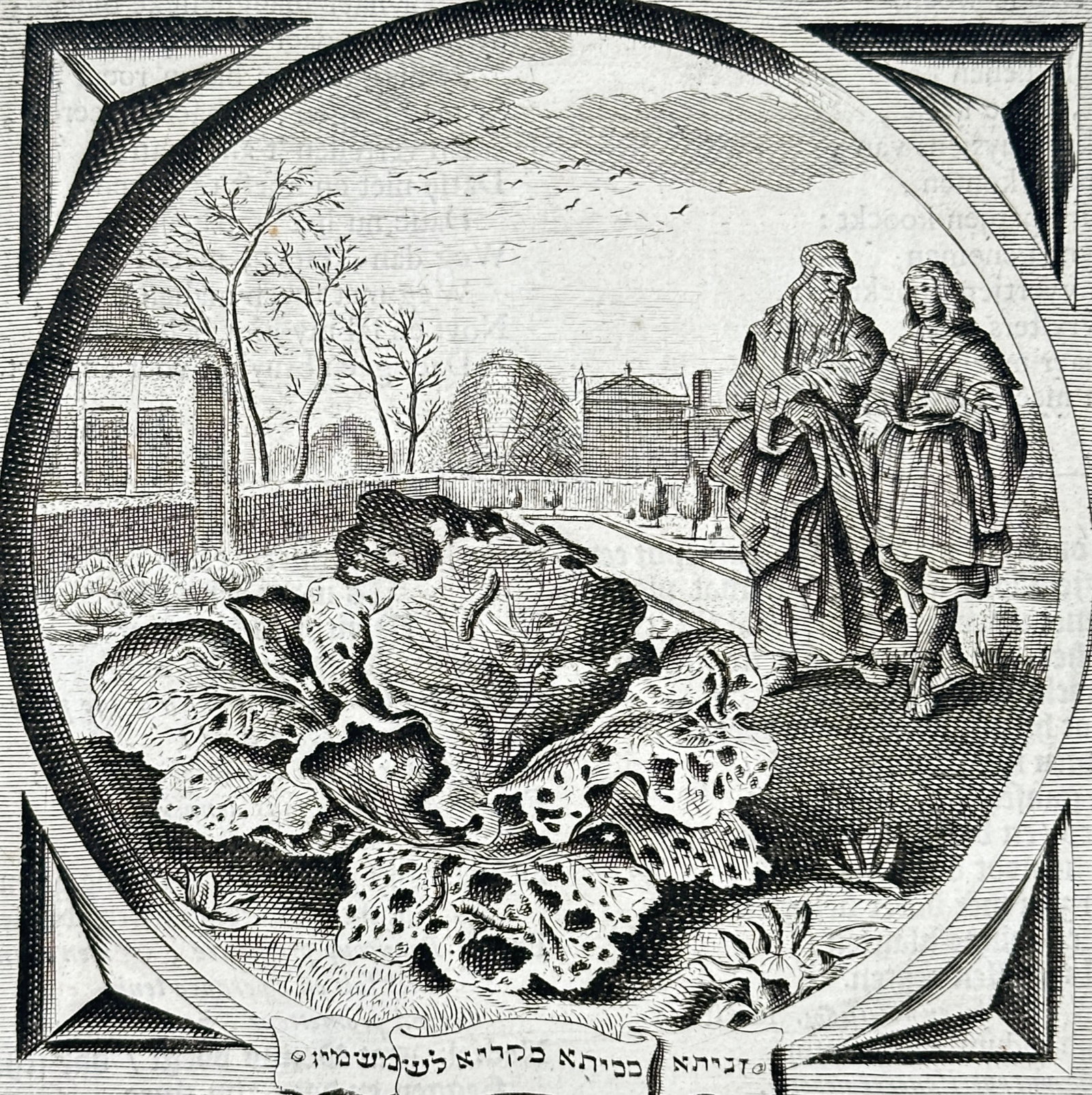 Jacob Cats (1577-1660) – Harlots and the Inconveniences Arising from Them – Engraving (1658): "Hoeren, en ongemacken van de selve herkomende. Een ruyse op een kool / Een hoere in een huys." This engraving illustrates a moral emblem depicting a landscape with a large cabbage plant in the foregr