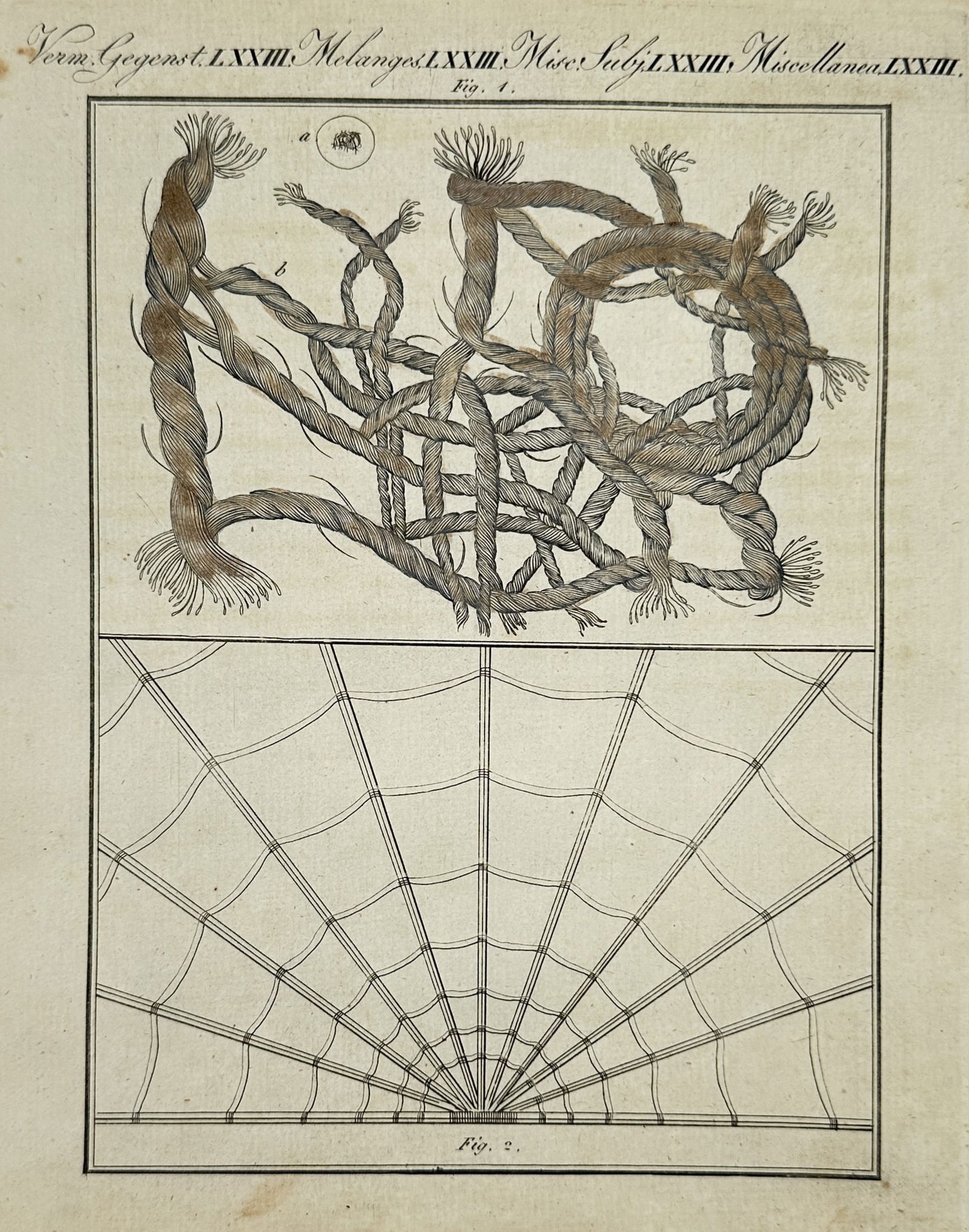 Friedrich Justin Bertuch (1747–1822) – Studies of Knotted Ropes and Spider Web: "Verm. Gegenst. LXXIII. Melanges LXXIII. Misc. Subj. LXXIII. Miscellanea LXXIII." This hand-coloured engraving illustrates a comparative study of intricate linear structures divided into two distinct