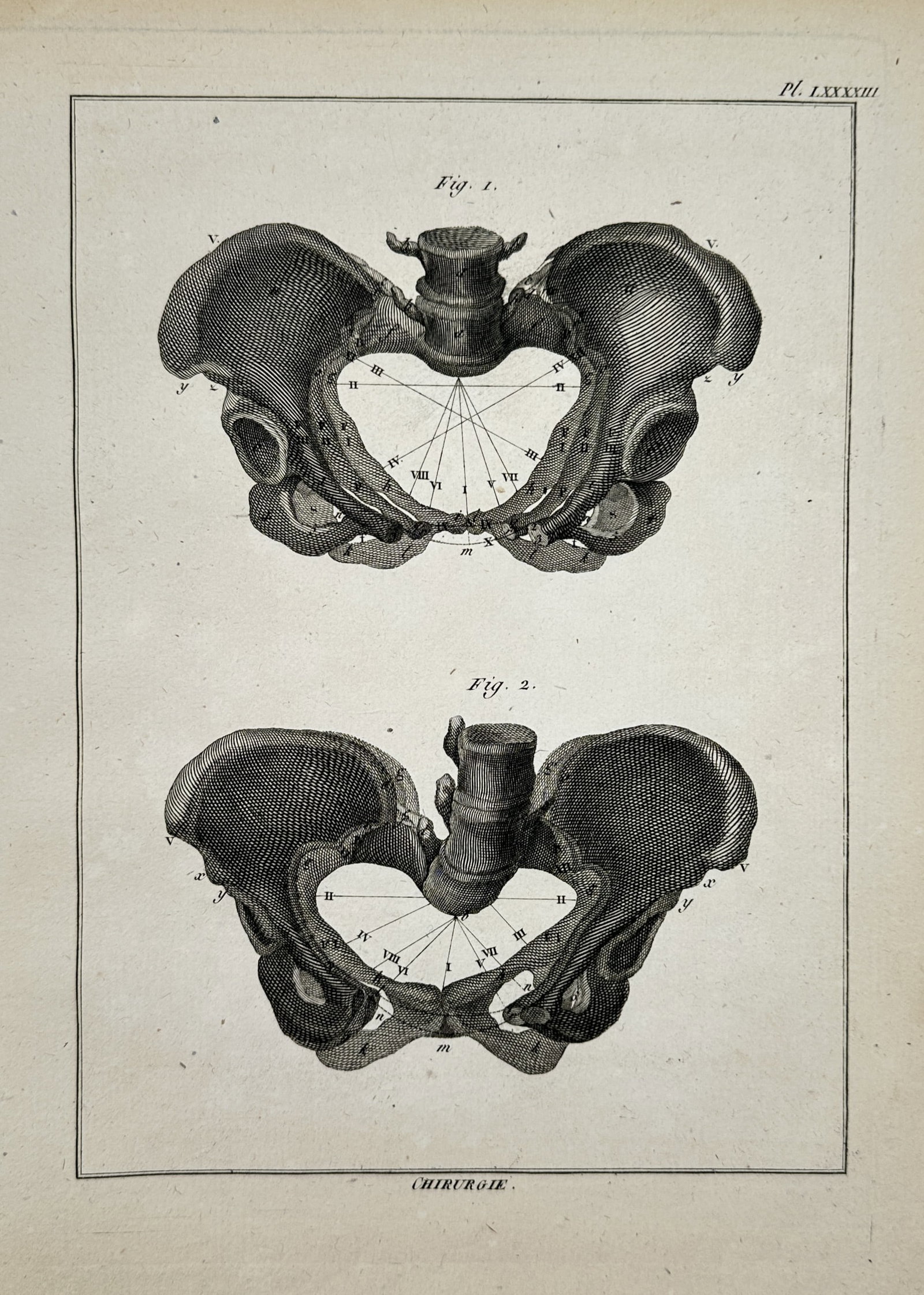 Robert Bénard (1734–1777) – Anatomical Studies of the Human Pelvis – Engraving (1772) (1 of 2)