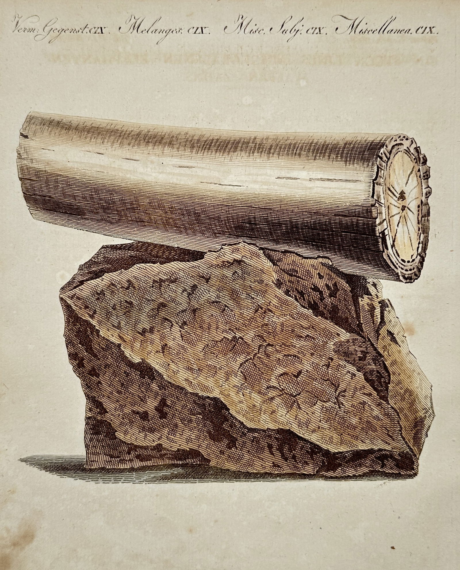 Friedrich Justin Bertuch – Study of Fossilized Wood – Etching (1805): "Verm. Gegenst. CIX. Melanges CIX. Misc. Subj. CIX. Miscellanea CIX." This print illustrates a large specimen of fossilized or petrified wood resting upon a rugged rock base, showing the internal ring
