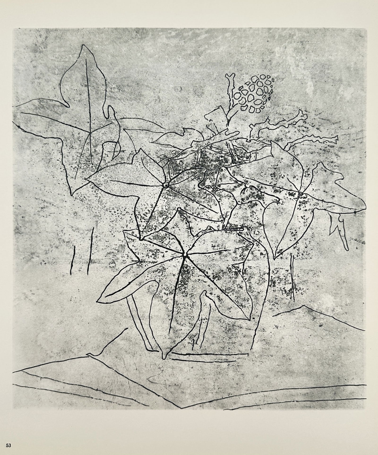 Georges Braque (1882–1963), after – The Ivy – Offset print (20th Century): "Le Lierre" illustrates a simplified, organic composition featuring the stylized forms of ivy leaves. The work is rendered with bold, fluid outlines and textured shading that emphasizes the silhouette
