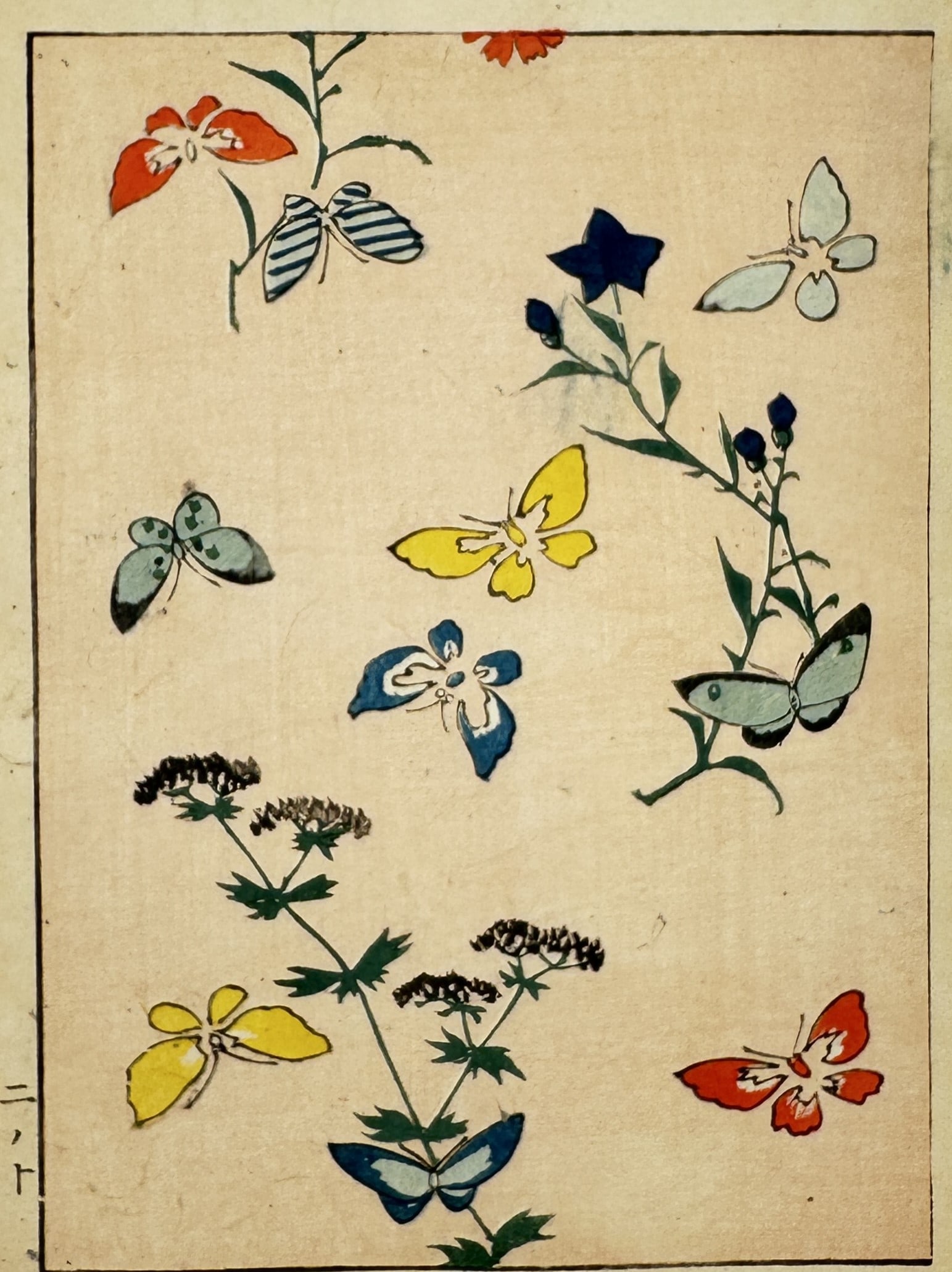 Japanese School (20th Century) – Study of Butterflies and Wildflowers – Woodcut (20th Century): "Japanese Study" illustrates a group of butterflies in various shades of red, yellow, blue, and green fluttering around delicate flowering vines and star-shaped blossoms. The composition is arranged w