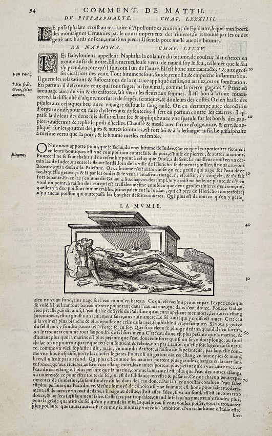 Pietro Andrea Mattioli (1501–1578) – Study of a Mummy – Woodcut (16th Century) (1 of 2)