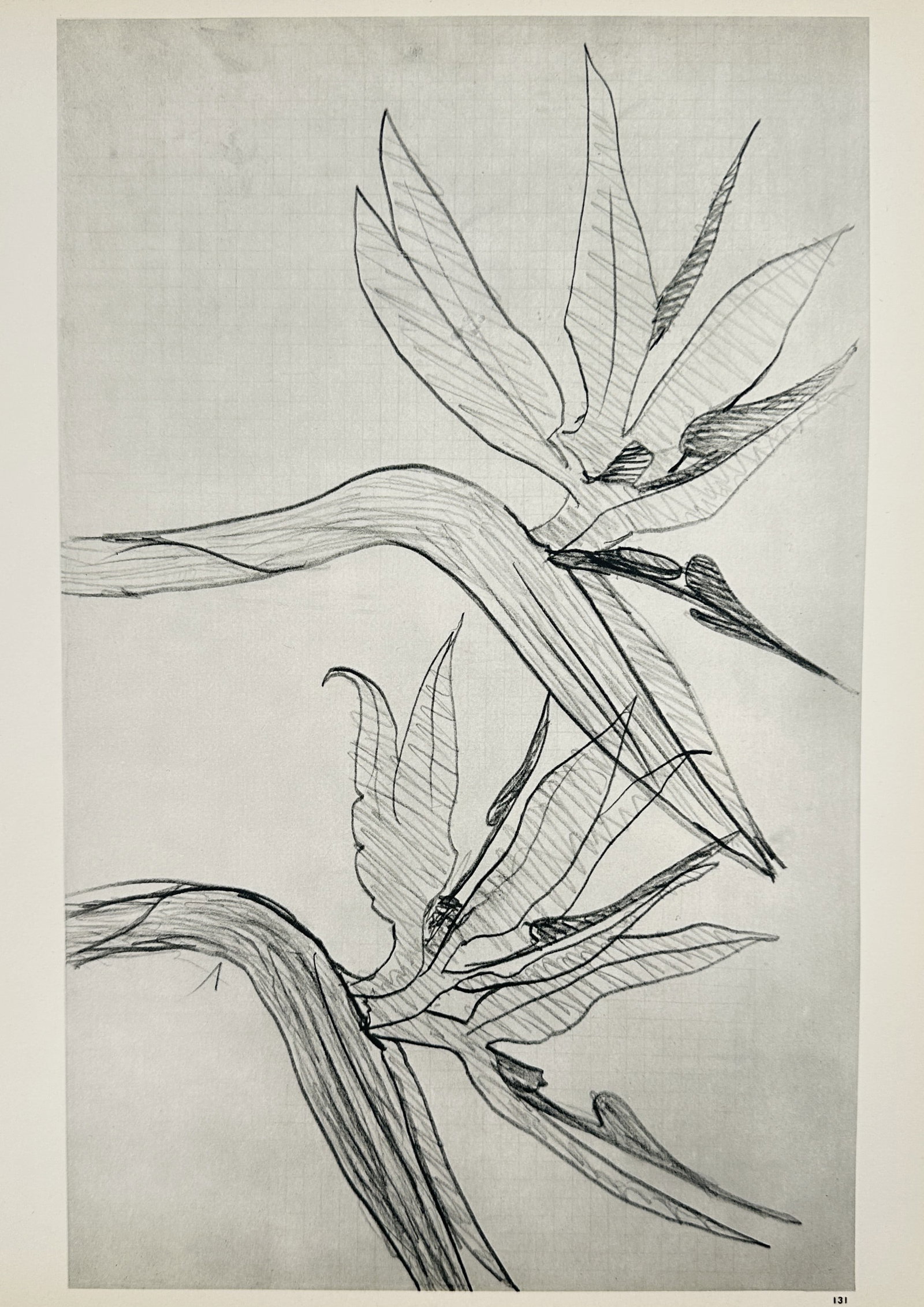 Georges Braque (1882–1963), after – Bird of Paradise – Offset print (20th Century) (1 of 2)