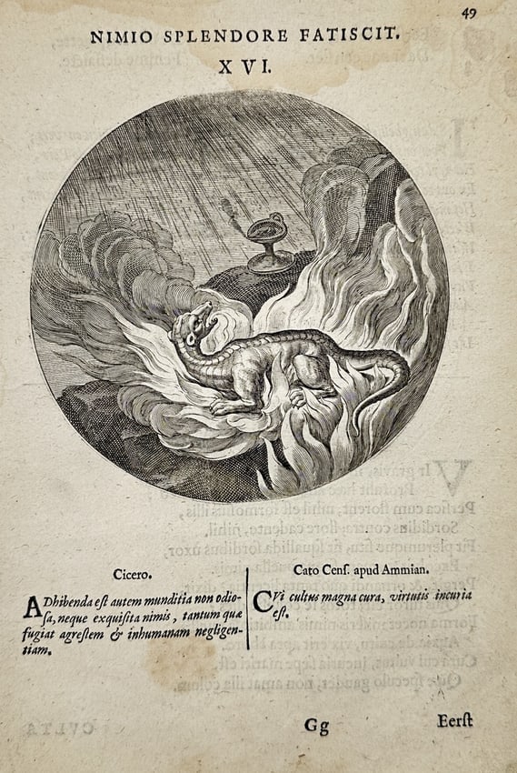 Jacob Cats (1577-1660) – Emblem of the salamander in flames – Engraving (1658): "Nimio splendore fatiscit." This circular engraving depicts a salamander amidst a swirling fire, a classical symbol of endurance and the paradoxical nature of passion or light. The print is an emblem