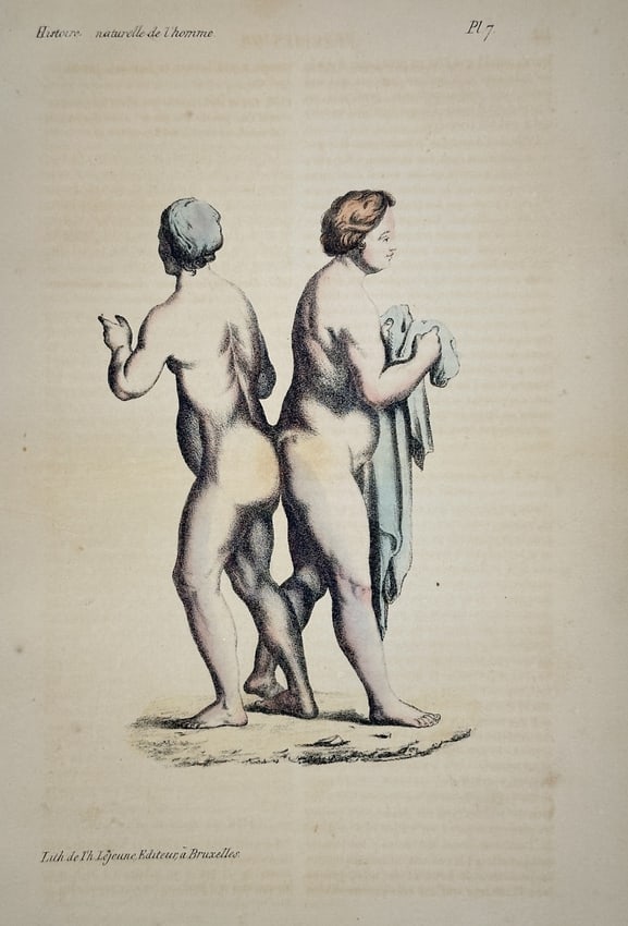 Georges-Louis Leclerc, Comte de Buffon – Two Standing Figures – Lithograph: This lithograph features a classical representation of two figures in a standing pose, viewed from the side and rear. The work was published as part of the natural history series Histoire naturelle de