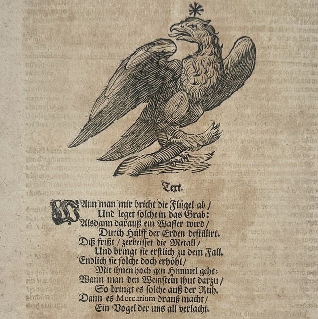 Ulisse Aldrovandi (1522-1605) – Salarmeniacum or the Eagle – engraving (1648): "Salarmeniacum. Salmiack." depicts an eagle perched on a branch with its wings partially spread, serving as an alchemical symbol for sal ammoniac. This engraving was published in Bologna in 1648 withi