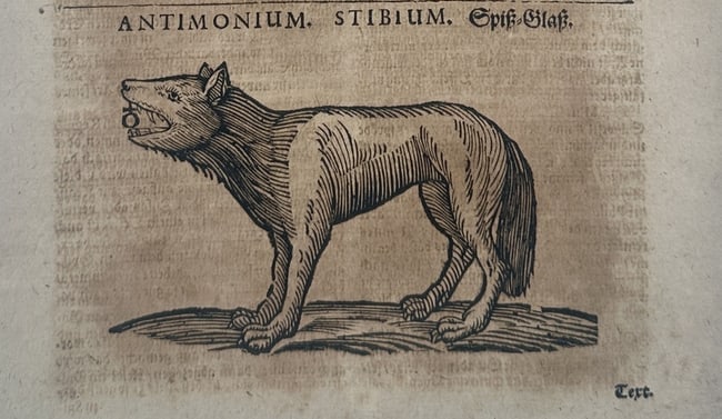 Ulisse Aldrovandi (1522-1605) – Antimony or the Grey Wolf – engraving (1648): "Antimonium. Stibium. Spiess-Glass." depicts a wolf standing upon a small mound of earth, symbolizing the alchemical element antimony. This engraving was published in Bologna in 1648 within the Musaeu