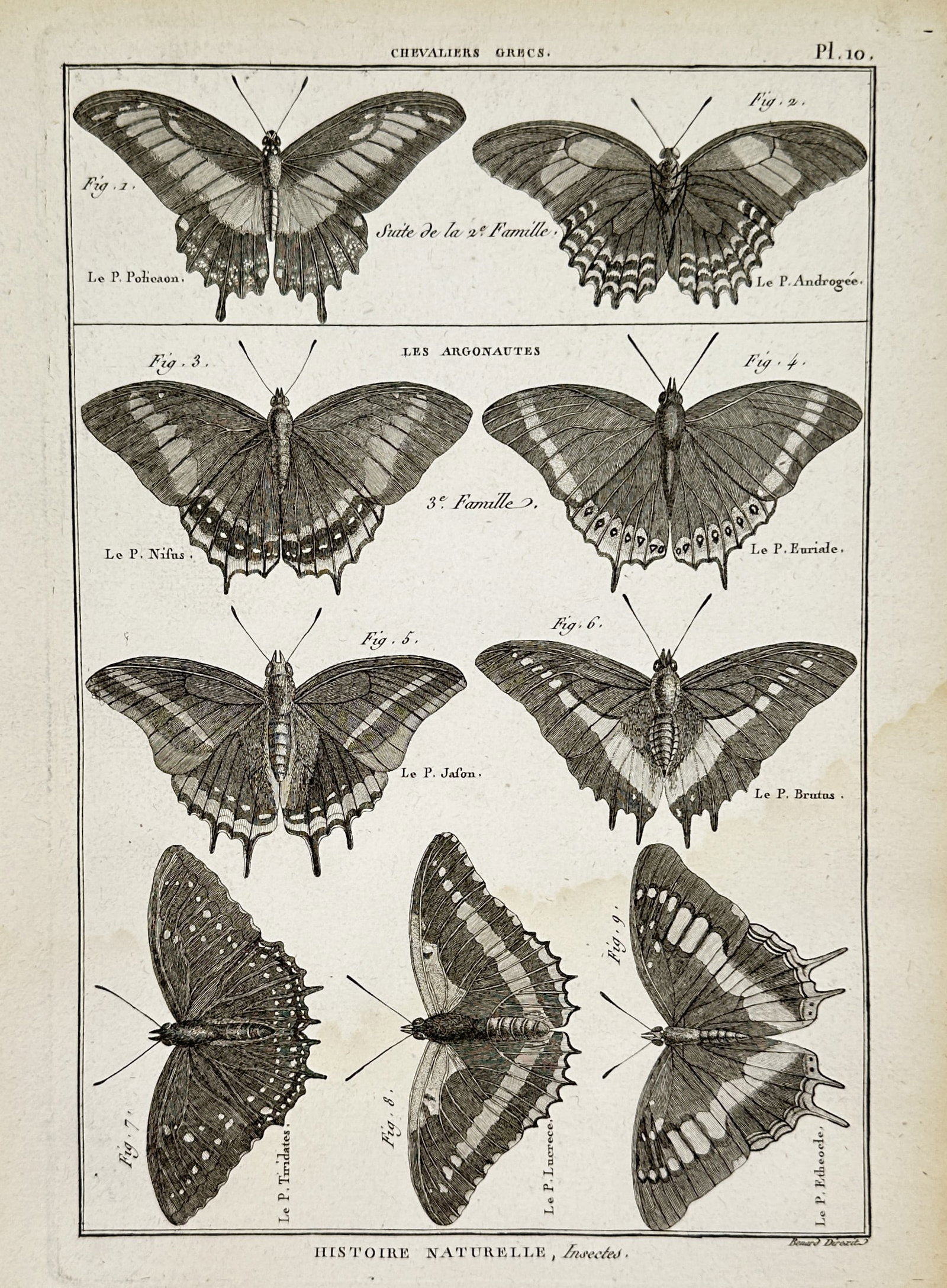 Robert Benard (18th Century) – Entomological Studies of Butterflies – Engraving (1765): Entomological Studies of Butterflies displays various butterfly species classified as Chevaliers Grecs and Argonautes. This work originates from the Histoire Naturelle section of the Encyclopedie, pub