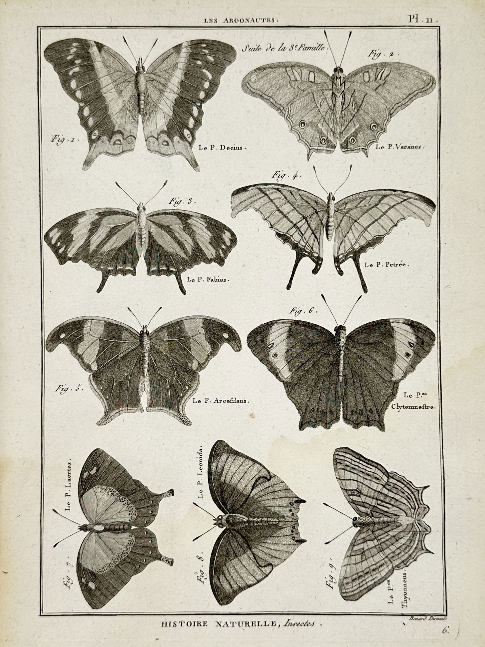 Robert Benard (18th Century) – Butterfly Species Documentation – Engraving (1765): Les Argonautes depicts various species of butterflies categorized as Les Argonautes. This work is an engraving from the Histoire Naturelle section of the Encyclopedie, published in Paris by Denis Dide