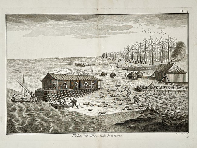 Robert Bénard (1734–1777) – View of Cod Fishing – Engraving (1778): "Pêches de Mer, Pêche de la Morue." This engraving provides a detailed illustration of the industrial process of cod fishing and processing on a coastal station. The composition shows several wooden