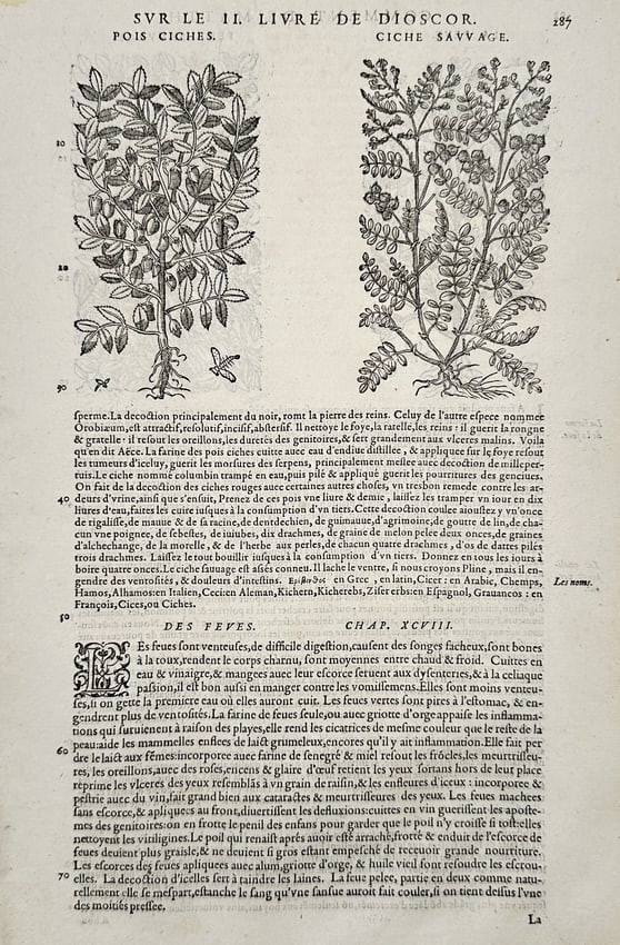 Pietro Andrea Mattioli (1501–1577) – Botanical Illustrations of Chickpeas and Fava Beans: "Pois Ciches and Des Feves" depicts woodcut illustrations of Cicer arietinum and Vicia faba with French text describing their agricultural and medicinal properties. This page comes from a sixteenth-ce